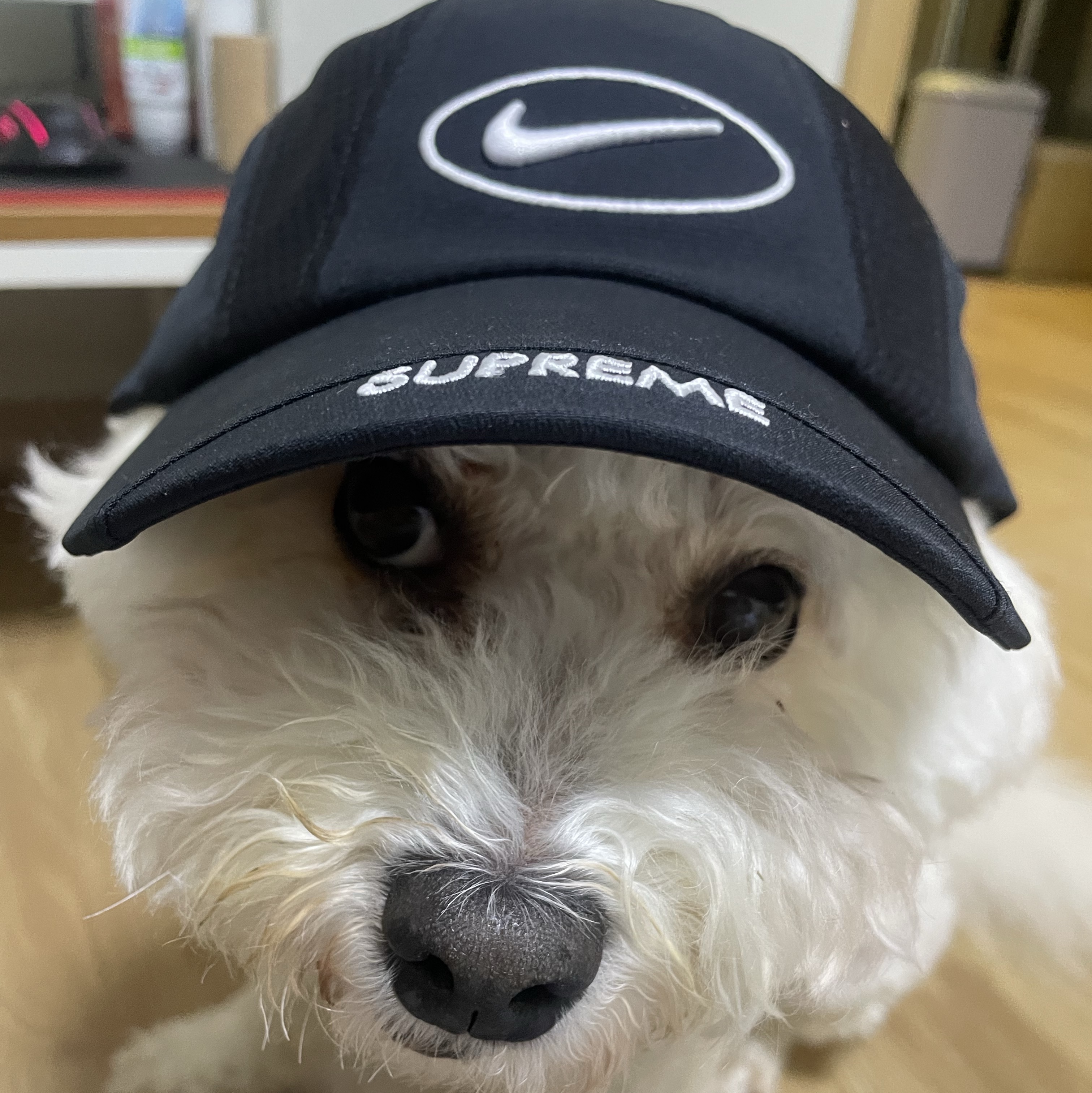 Supreme x Nike Running Hat Black - 25SS 착용 스타일