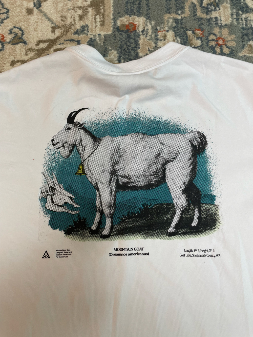 Nike ACG Dri-Fit T-Shirt Summit White - Asia 착용 스타일 - 4