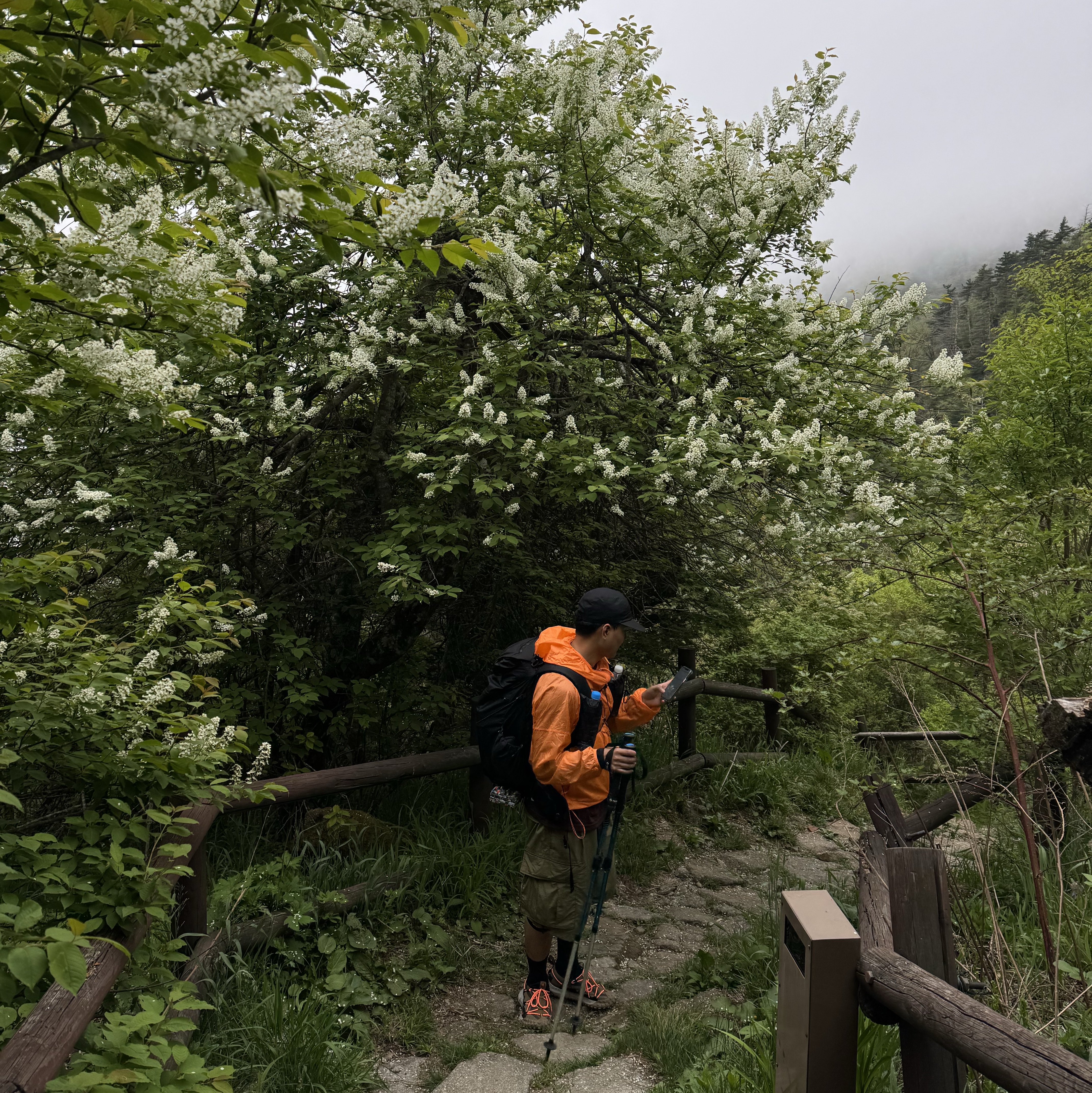 Nike ACG Windproof Cinder Cone Jacket Bright Mandarin - Asia 착용 스타일