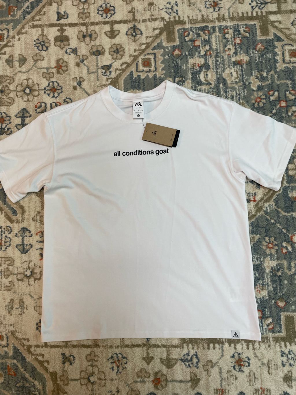 Nike ACG Dri-Fit T-Shirt Summit White - Asia 착용 스타일 - 1