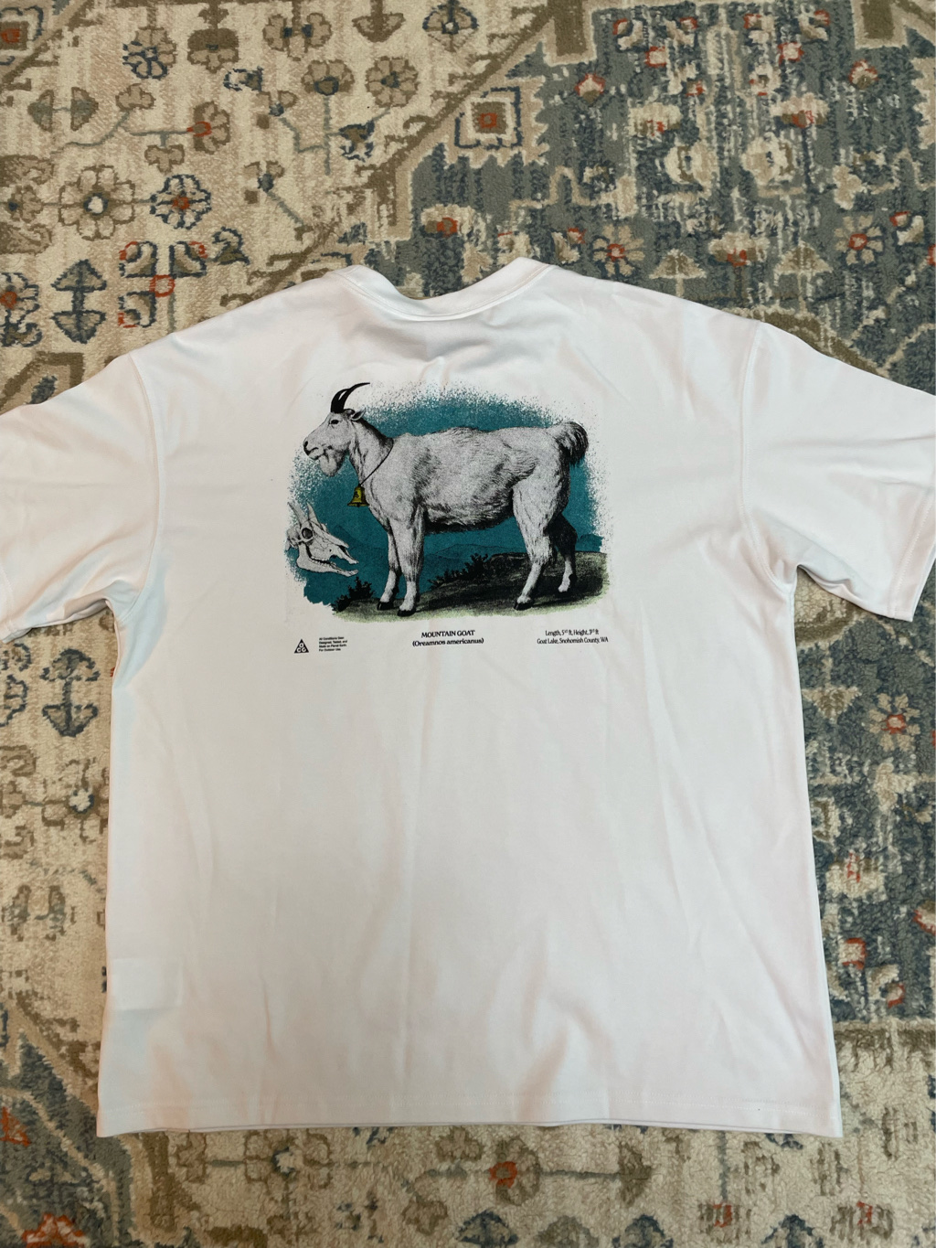 Nike ACG Dri-Fit T-Shirt Summit White - Asia 착용 스타일 - 3
