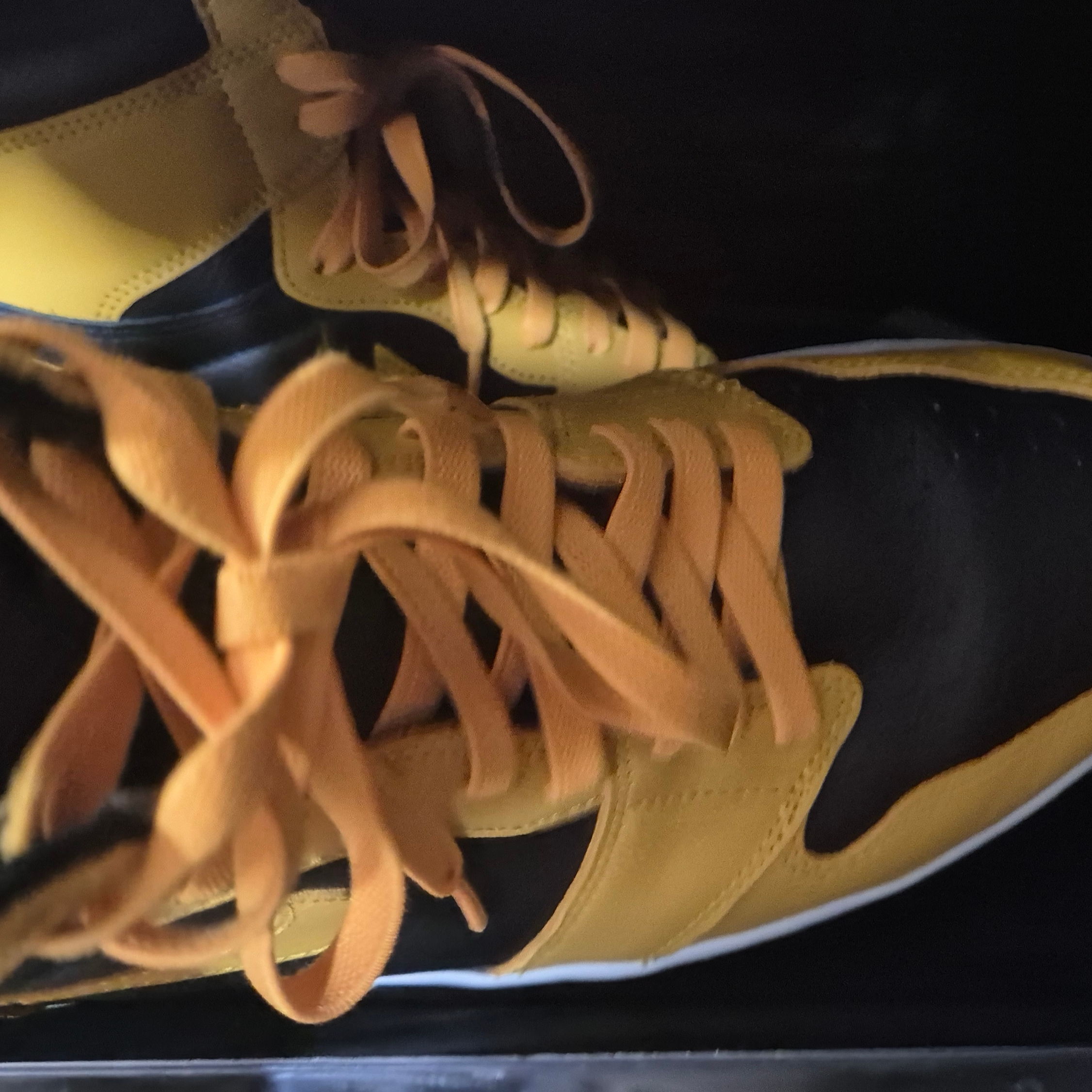 Jordan 1 Retro High OG Pollen 착용 스타일