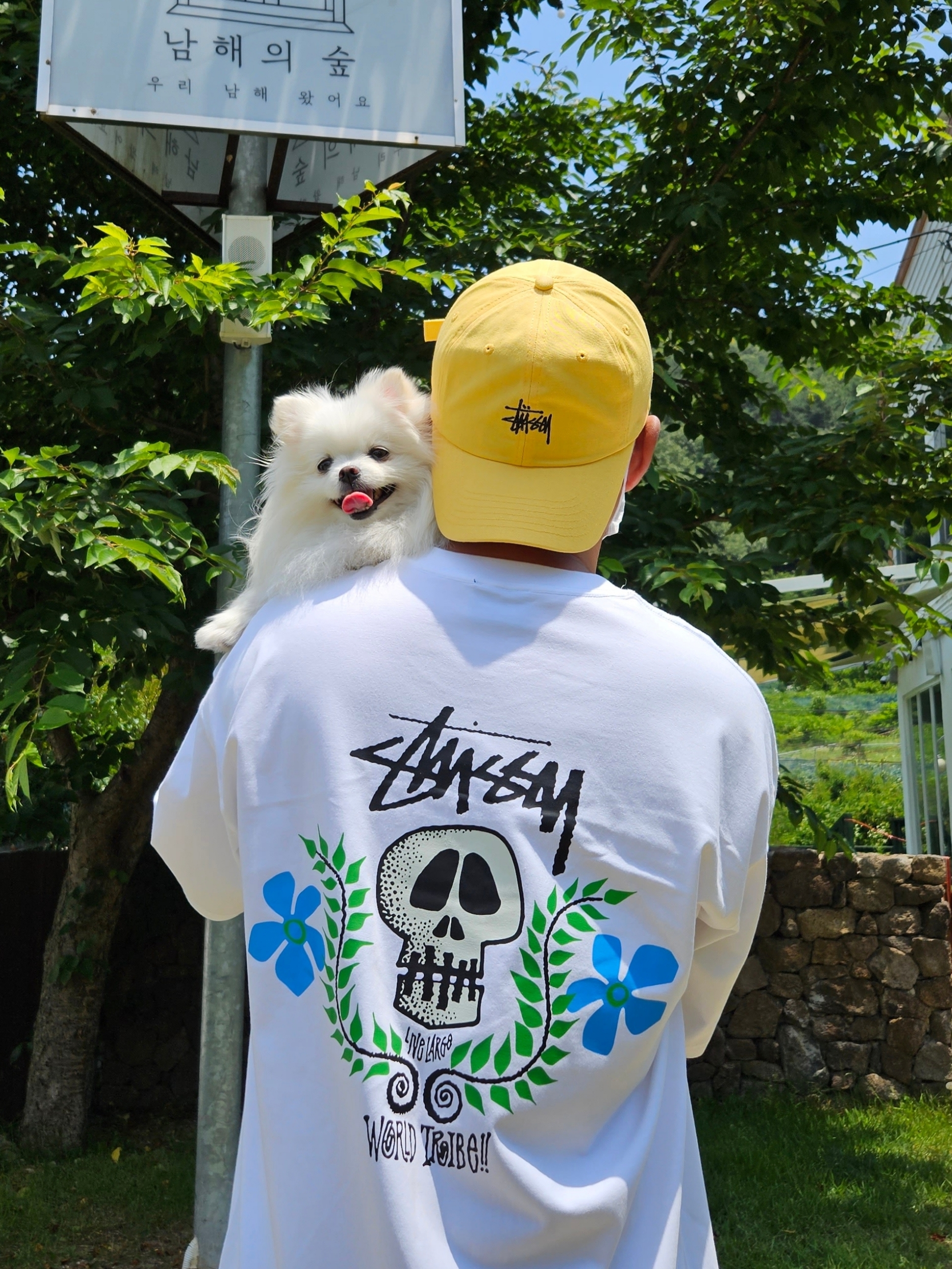 Stussy Skull Crest T-Shirt White 착용 스타일