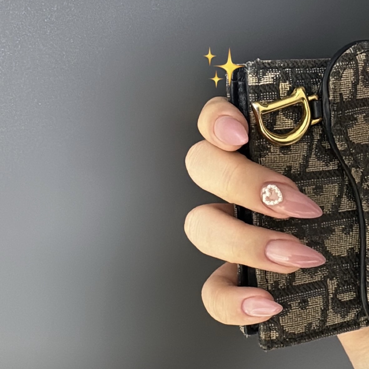 Dior Saddle Flap Card Holder Blue Dior Oblique Jacquard 착용 스타일