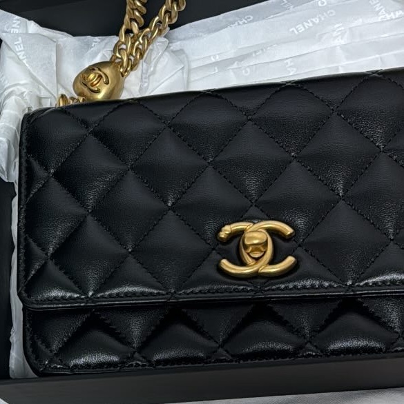 Chanel Wallet On Chain Lambskin & Gold Black 착용 스타일