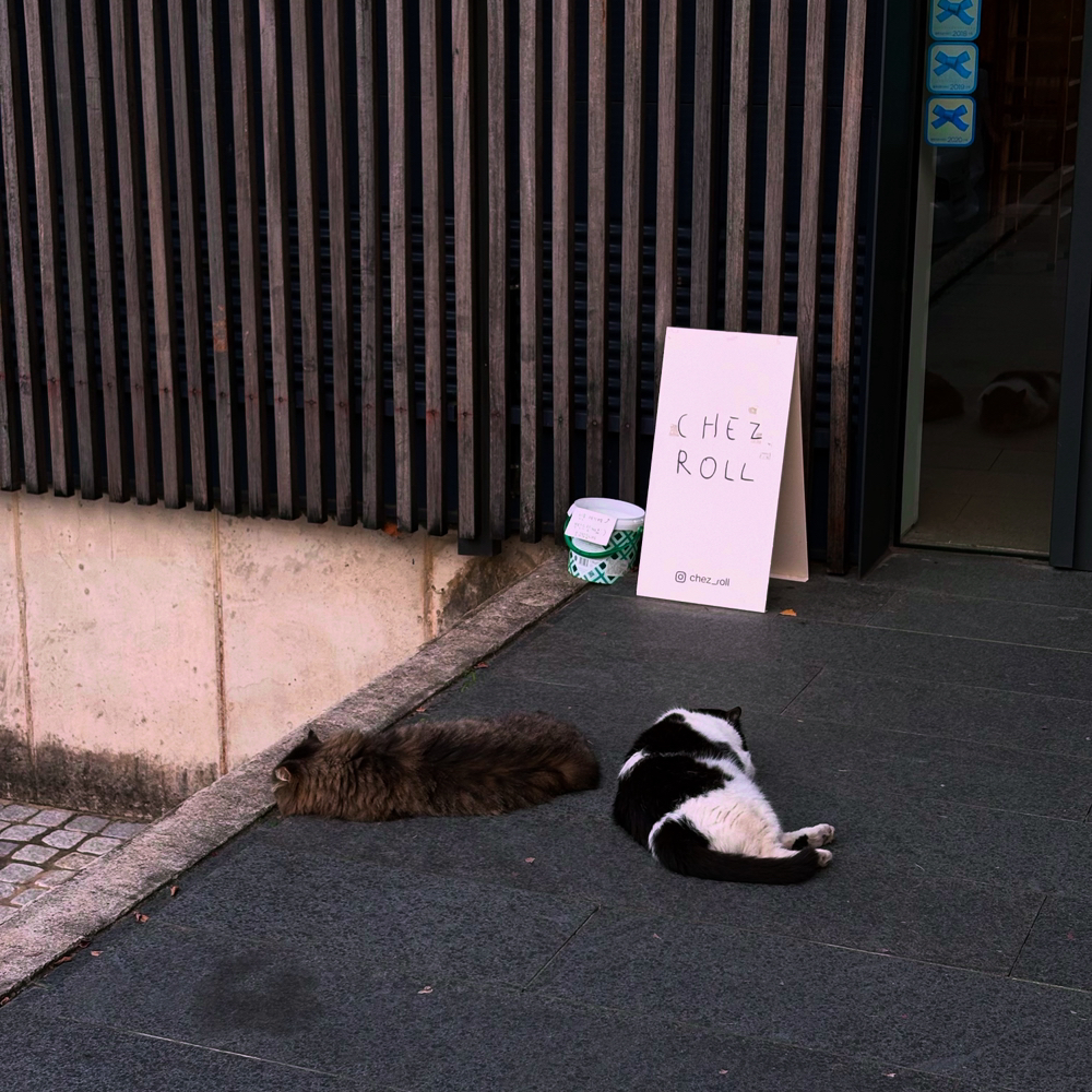 관심 유저 프로필 이미지