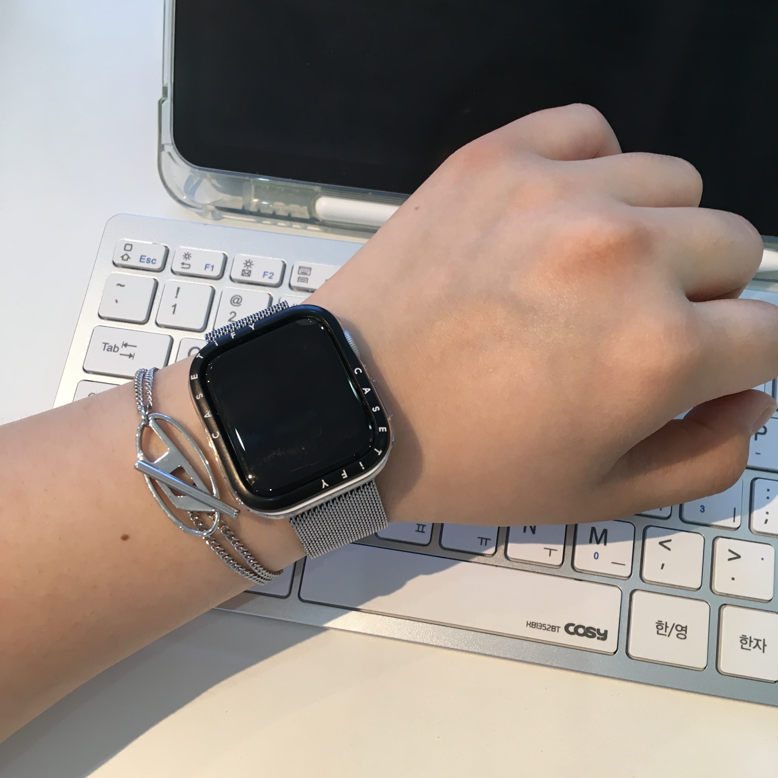 Diesel Dx1535 Stainless Steel Bracelet Silver 착용 스타일 - 2