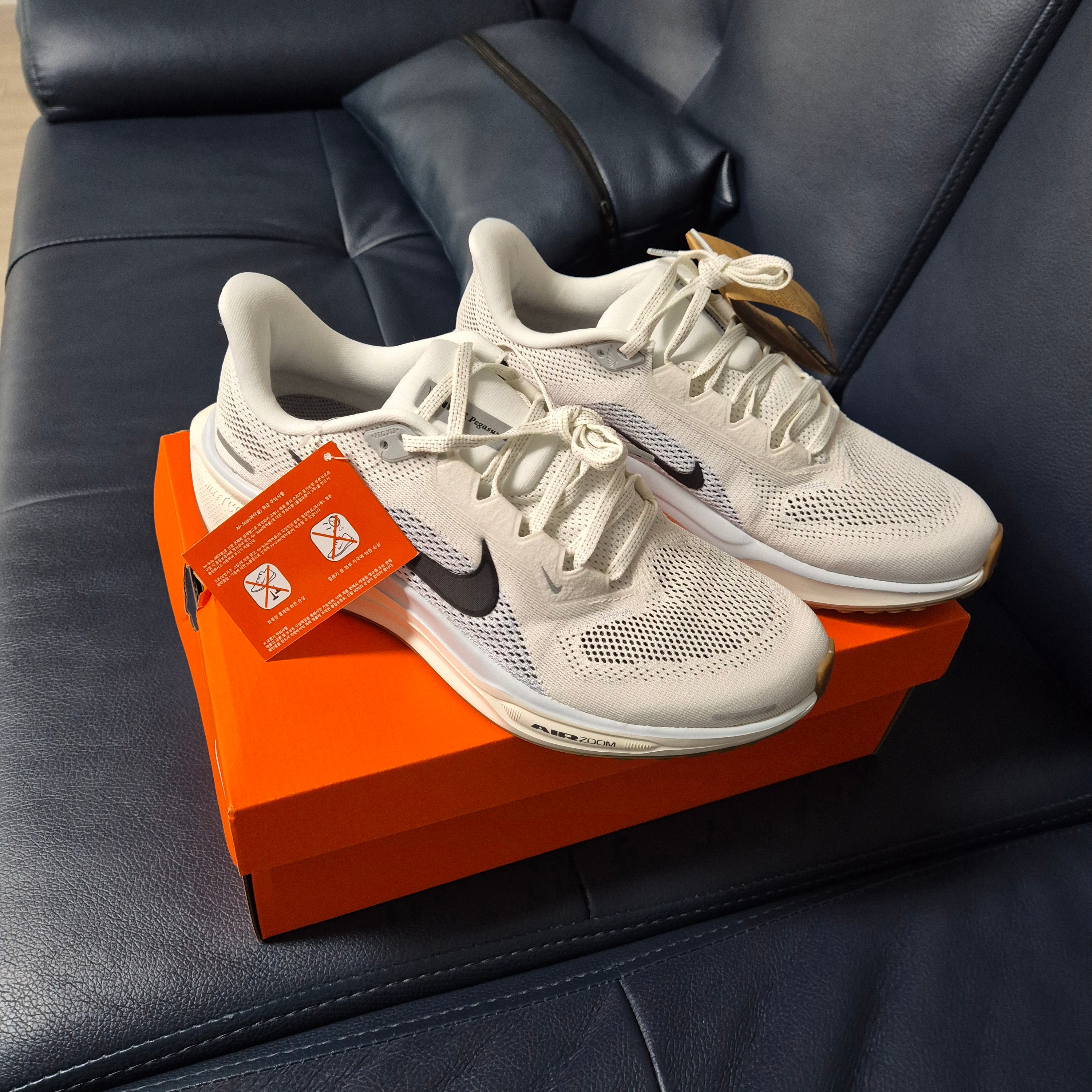 Nike Air Zoom Pegasus 41 Sail Blue Tint 착용 스타일 - 1