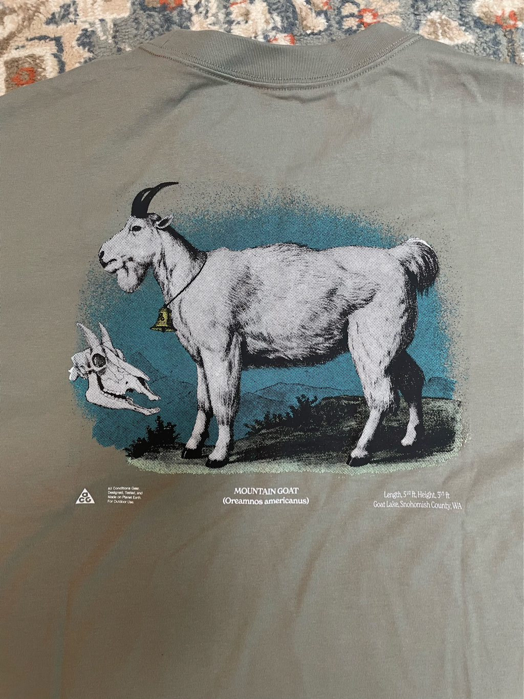 Nike ACG Dri-Fit T-Shirt Dark Stucco - Asia 착용 스타일 - 5