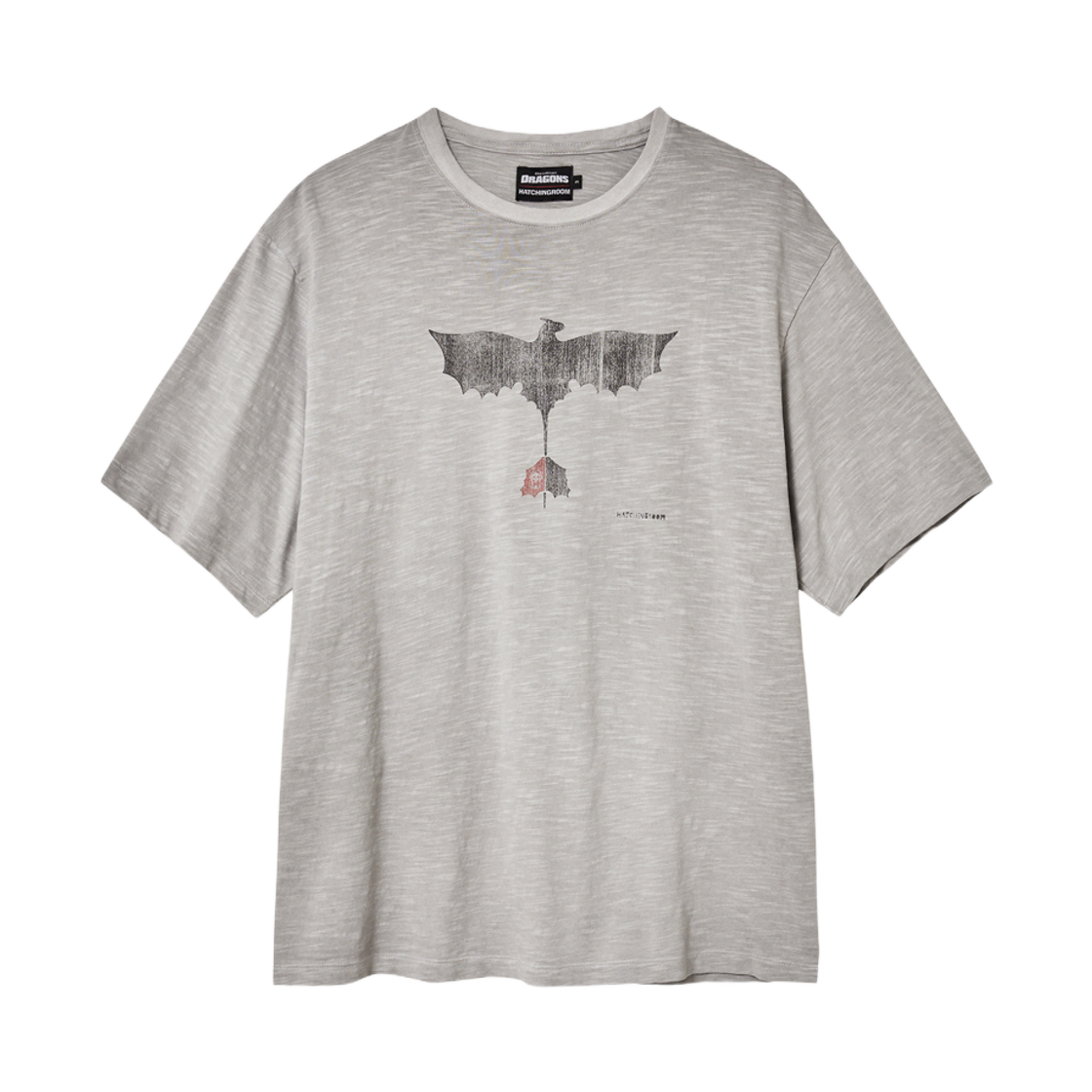 - Hatchingroom x How To Train Your Dragon Toothless Slub T-Shirt Grey