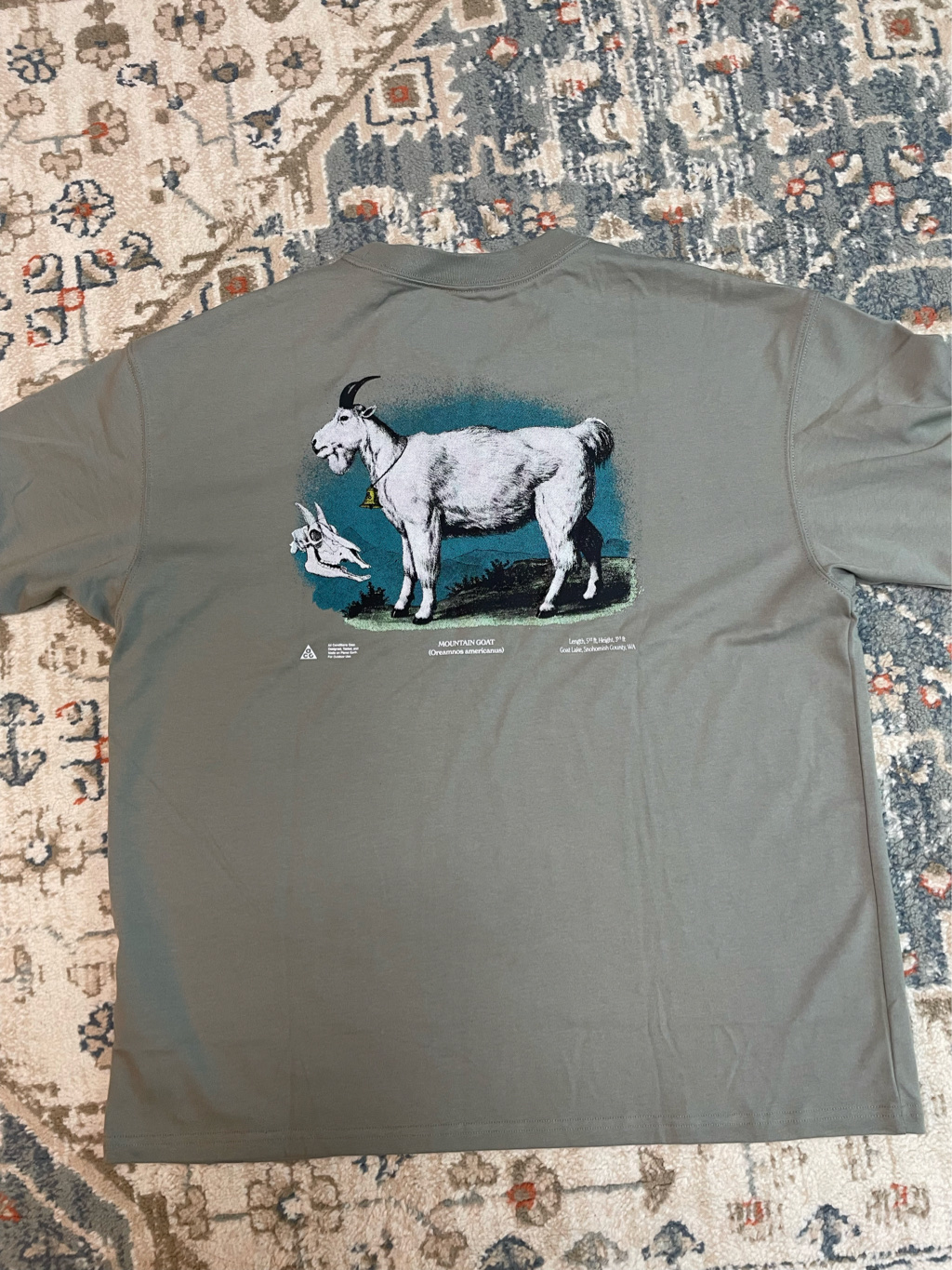 Nike ACG Dri-Fit T-Shirt Dark Stucco - Asia 착용 스타일 - 4