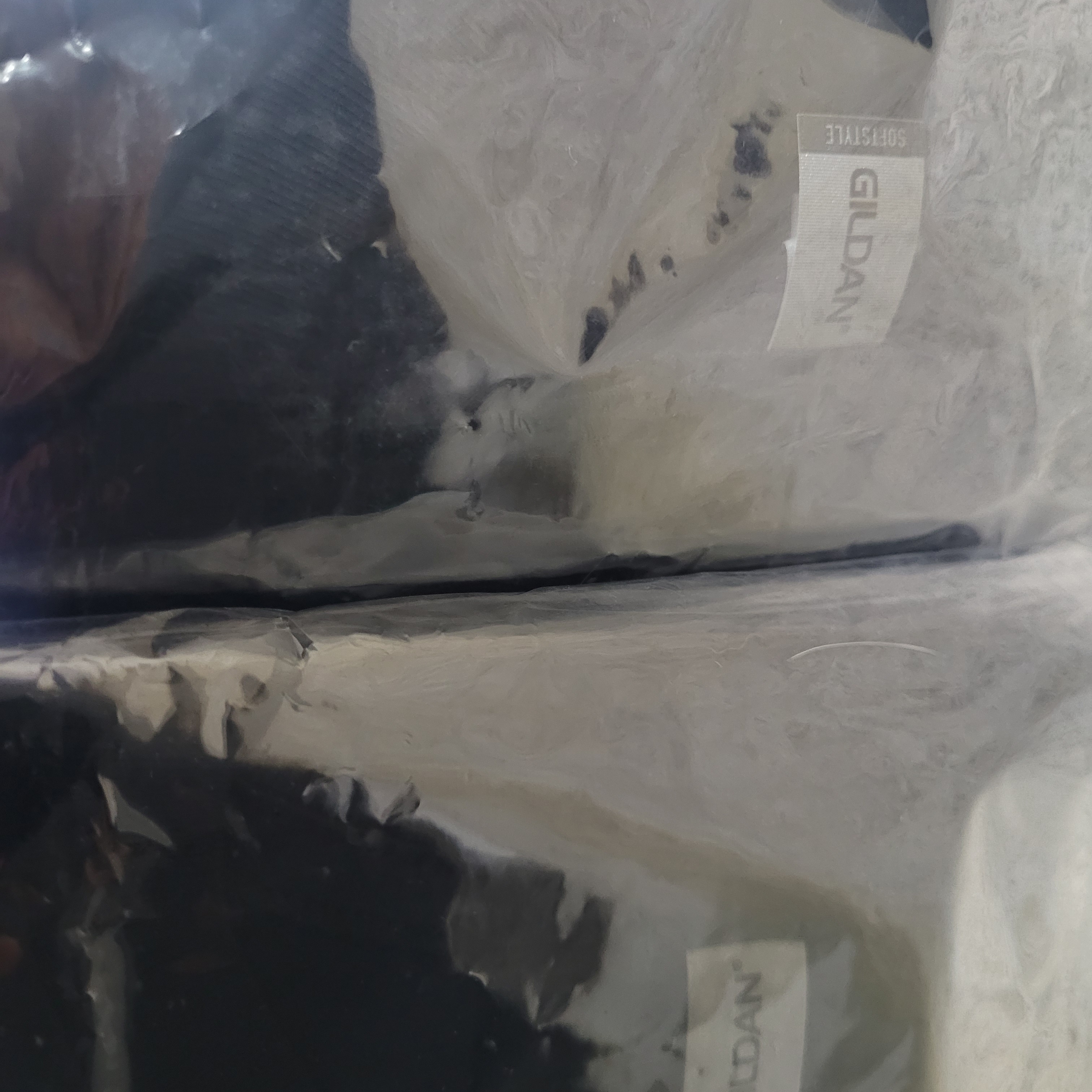 Gildan Light Cotton T-Shirt Black (2Pack) 착용 스타일