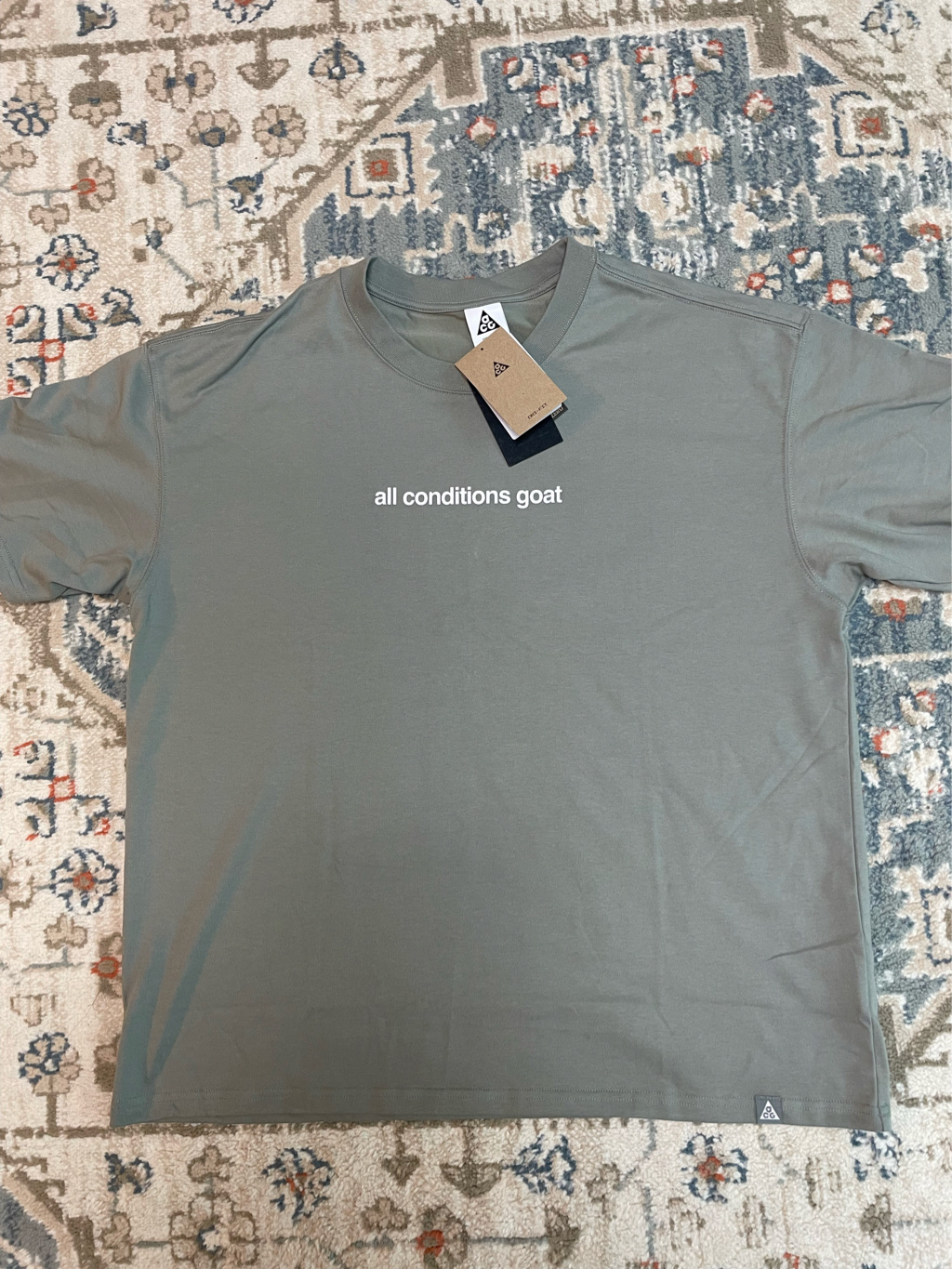 Nike ACG Dri-Fit T-Shirt Dark Stucco - Asia 착용 스타일 - 1