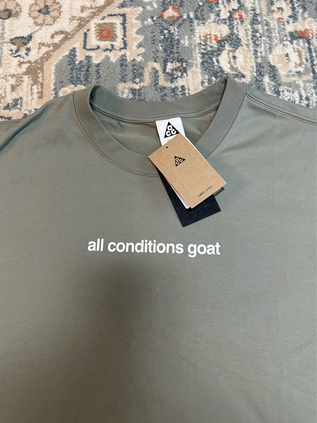 Nike ACG Dri-Fit T-Shirt Dark Stucco - Asia 착용 스타일 - 2