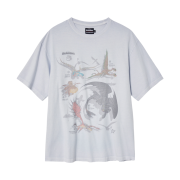 Hatchingroom x How To Train Your Dragon Dragons T-Shirt Light Grey