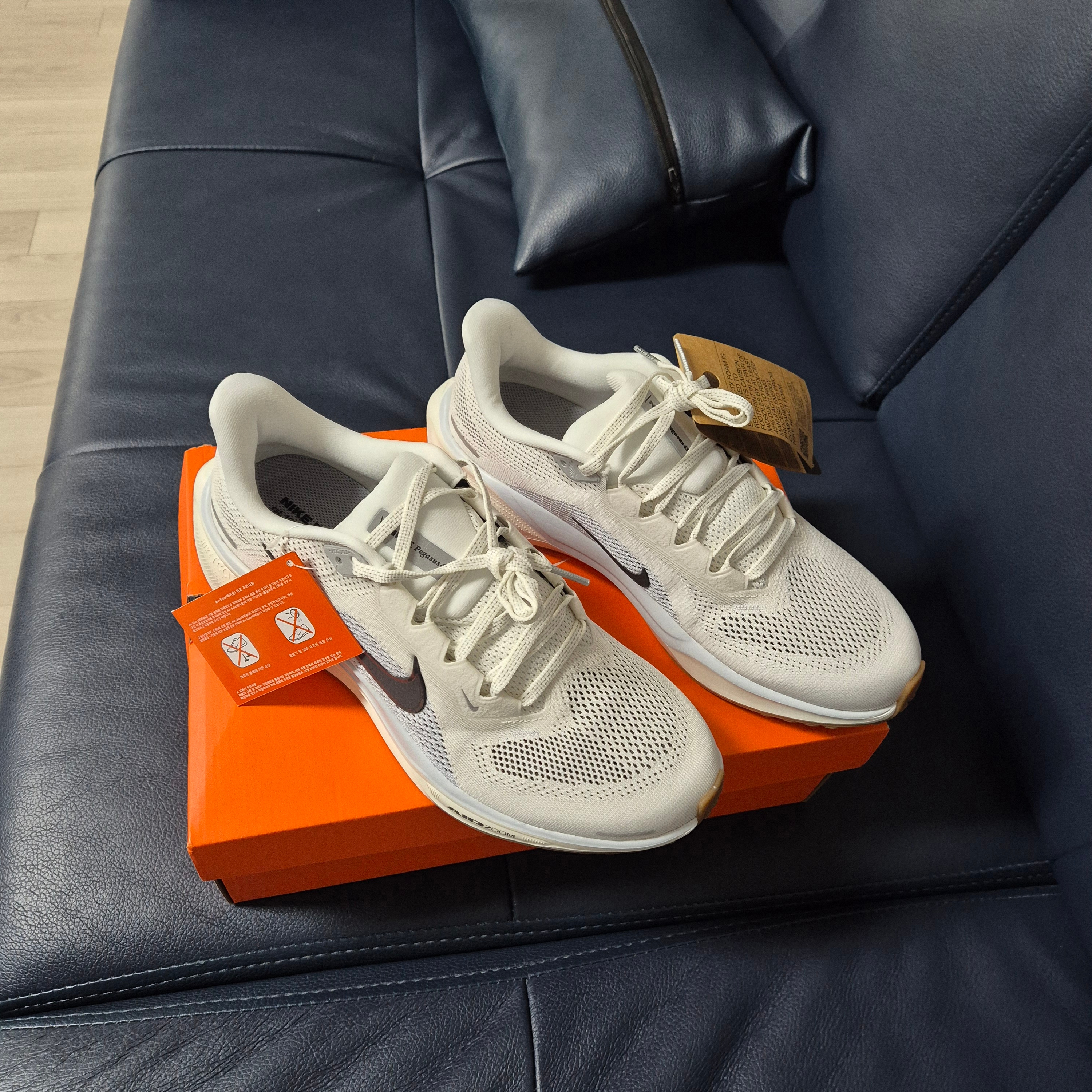 Nike Air Zoom Pegasus 41 Sail Blue Tint 착용 스타일 - 2