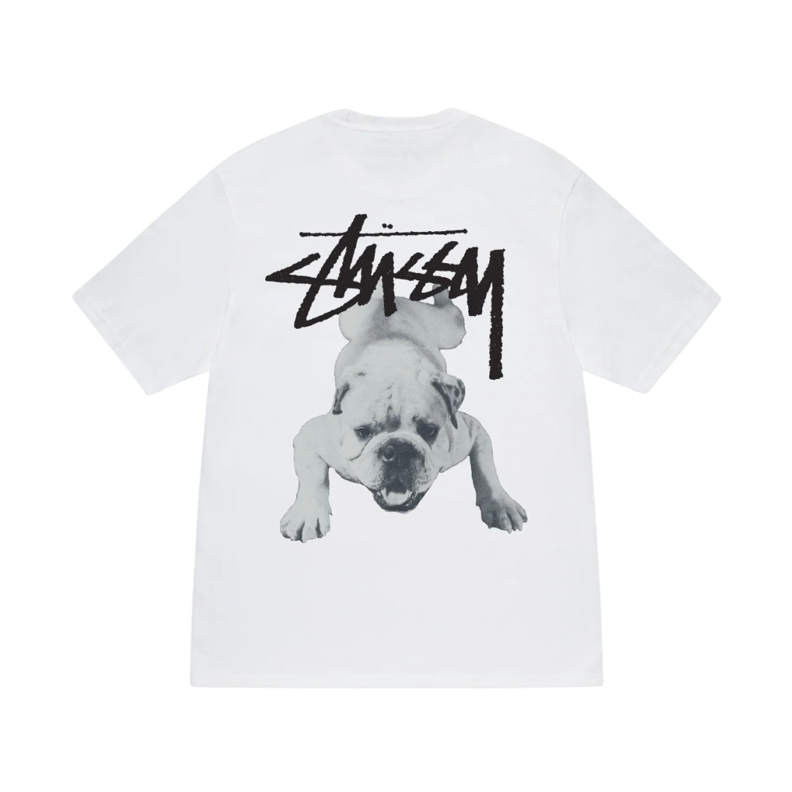 스투시 스탁 도그 티셔츠 화이트 | Stussy | KREAM