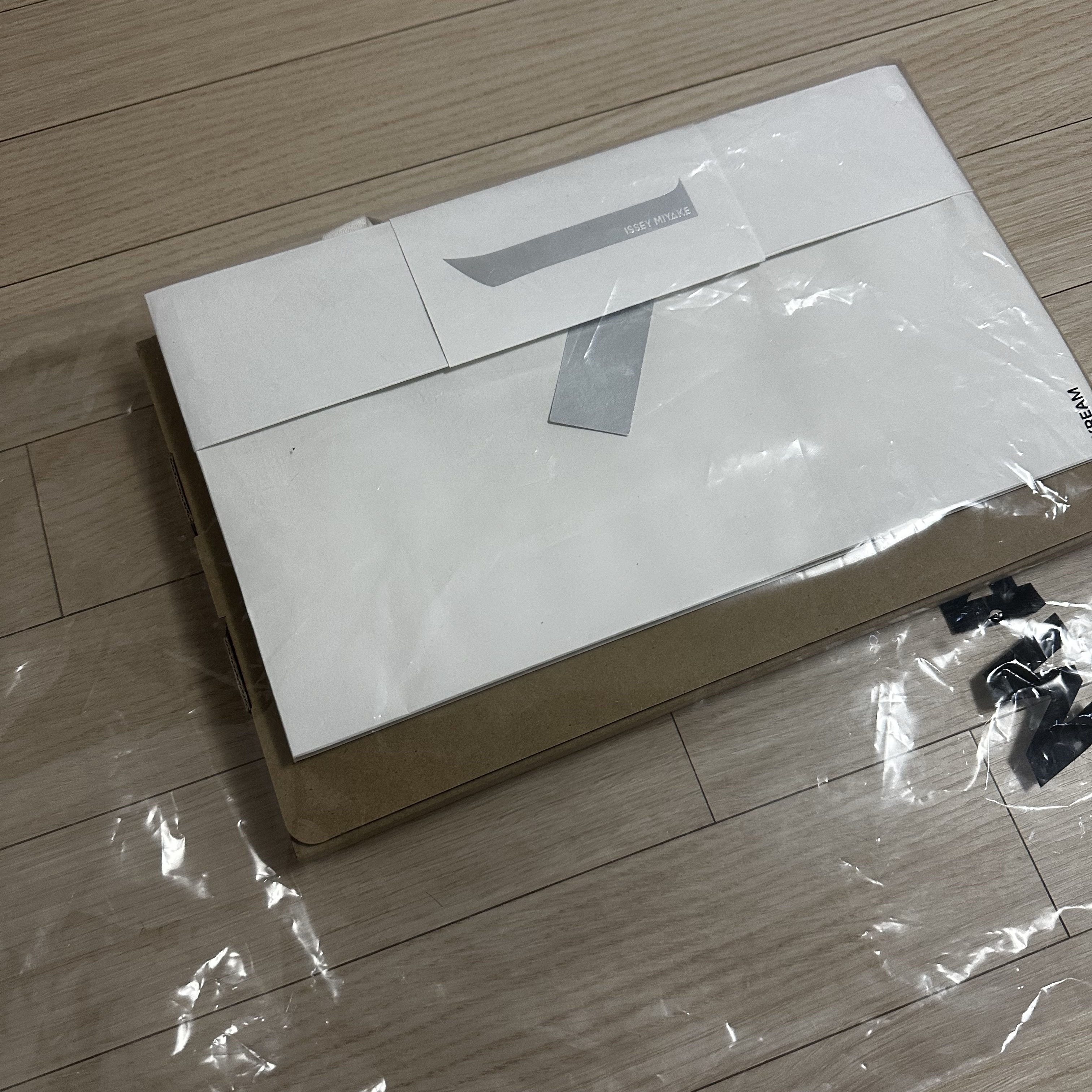 Bao Bao Issey Miyake Lucent Pouch White 착용 스타일 - 4