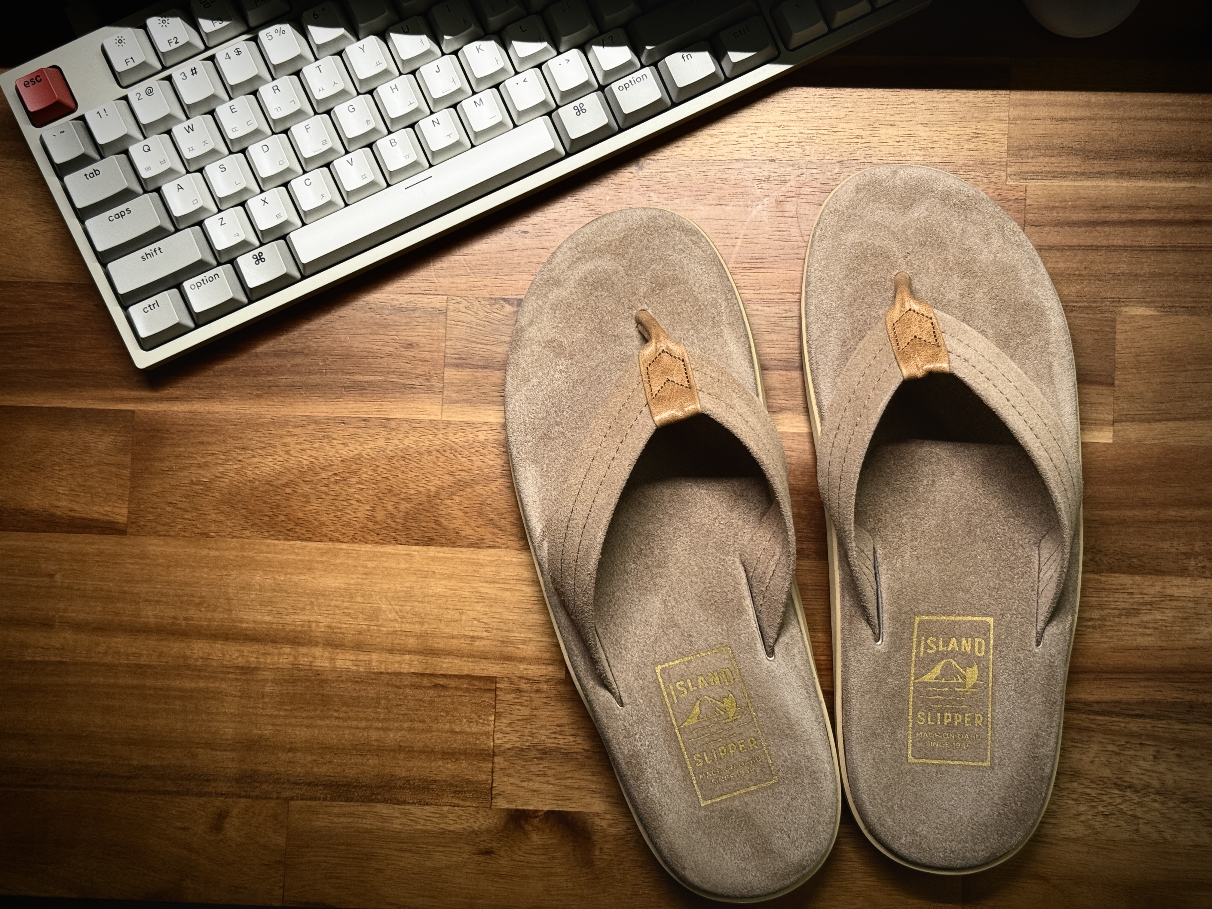 Island Slipper Classic Ultimate Suede Taupe Tan 착용 스타일
