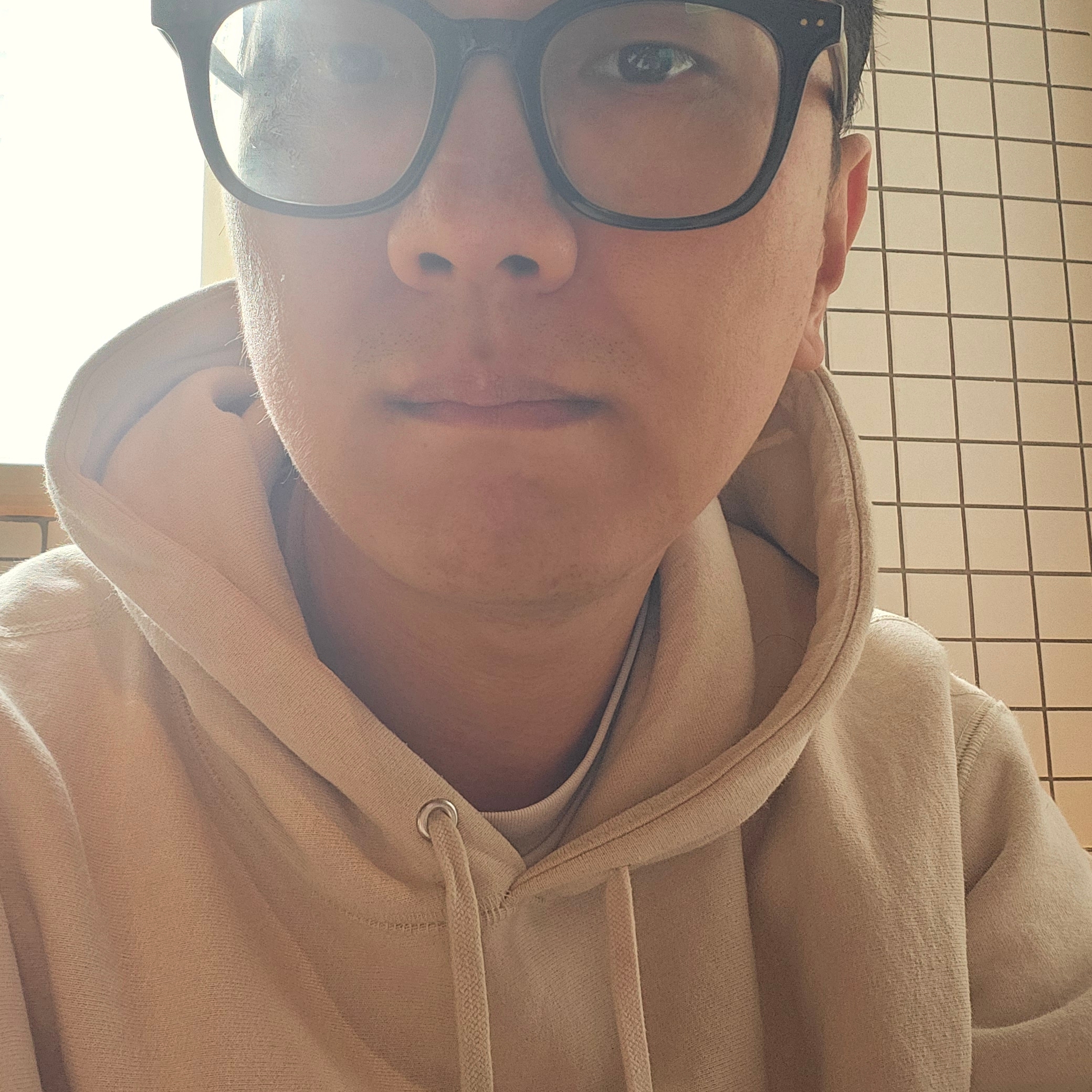 Supreme Box Logo Hooded Sweatshirt Stone - 24FW 착용 스타일 - 1