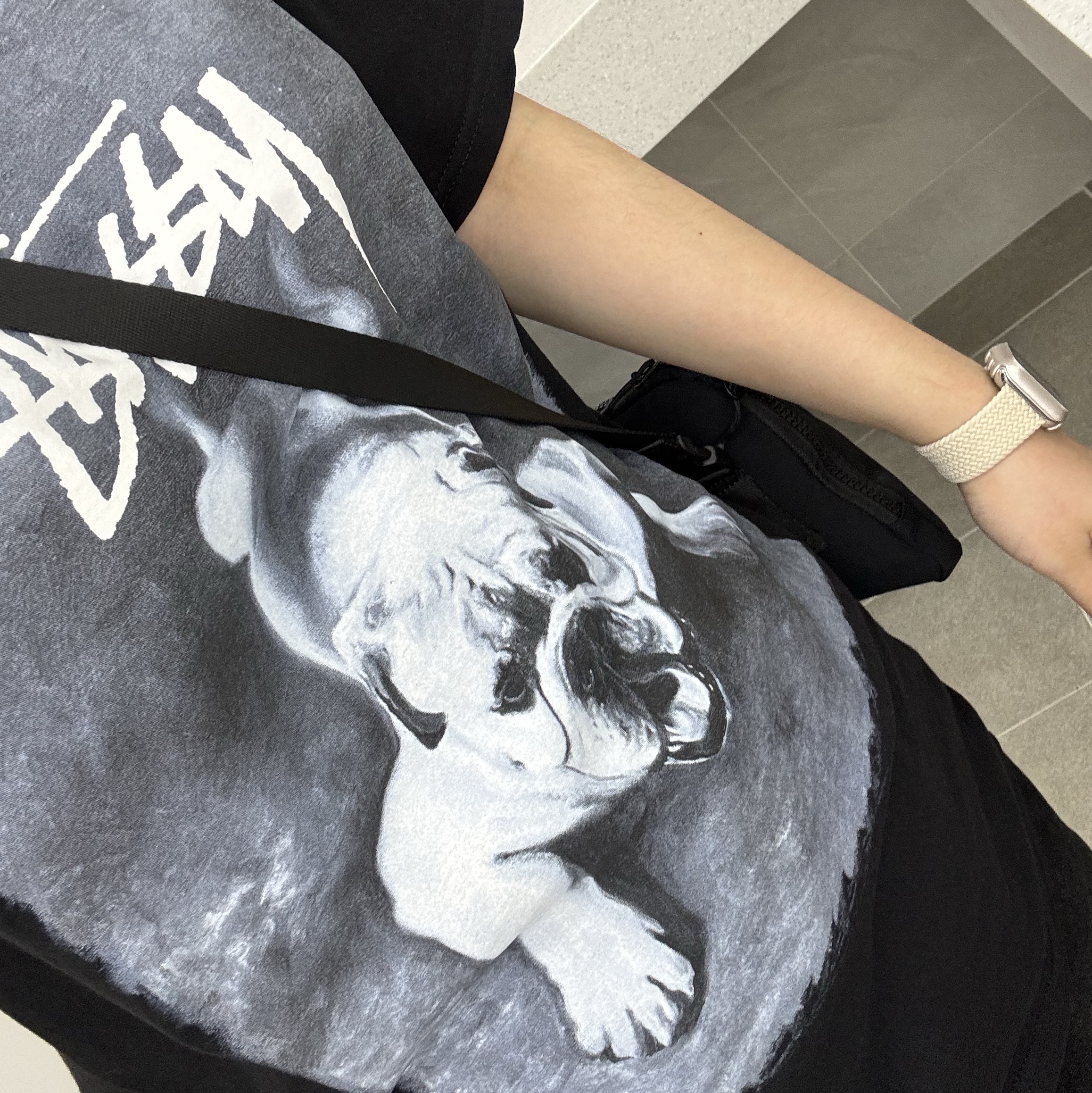 Stussy Bulldog T-Shirt Black 착용 스타일