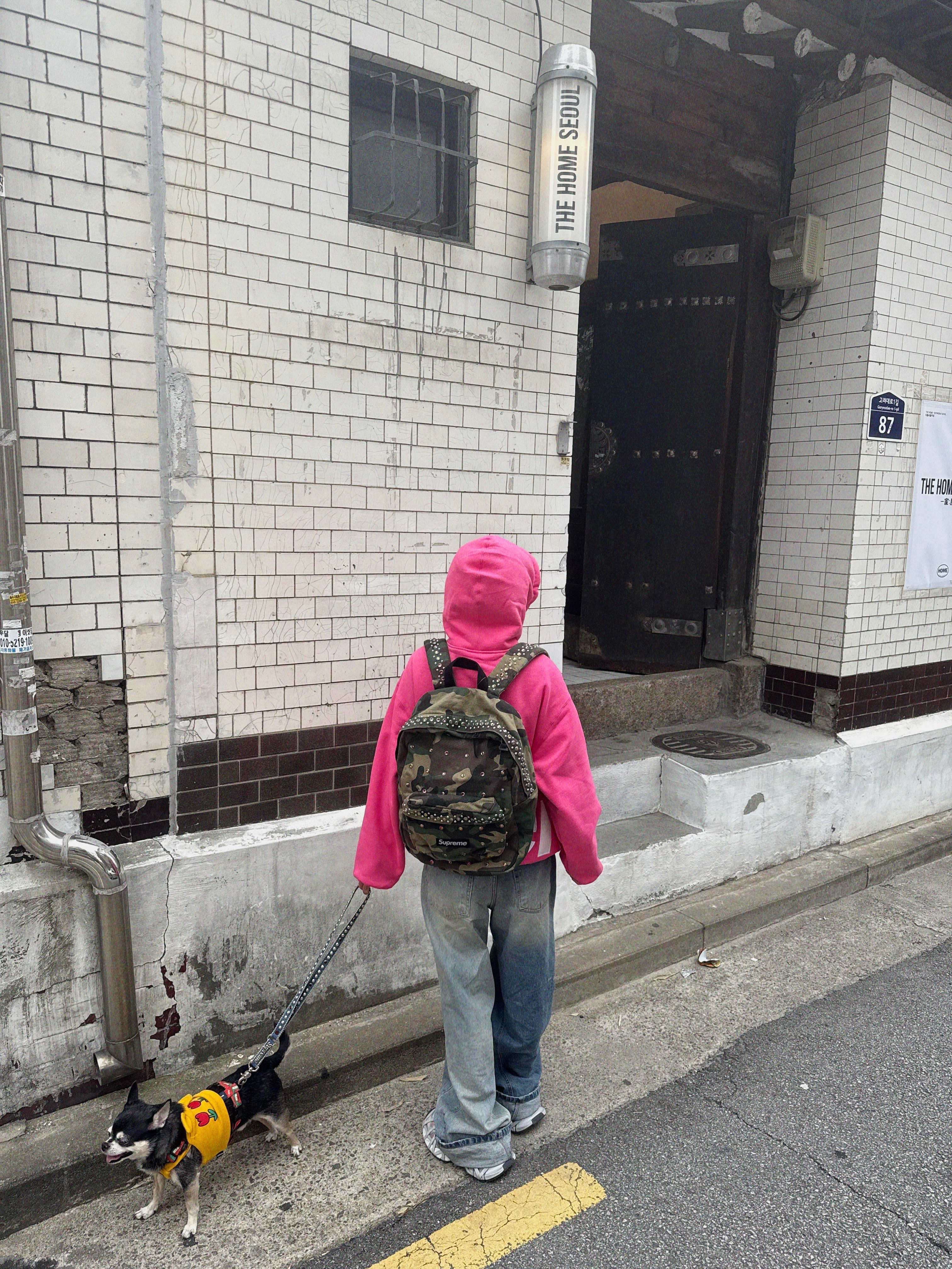 Supreme x B.B. Simon Denim Backpack Woodland Camo - 25SS, Supreme Big Logo Zip Up Hooded Sweatshirt Magenta - 25SS 착용 스타일