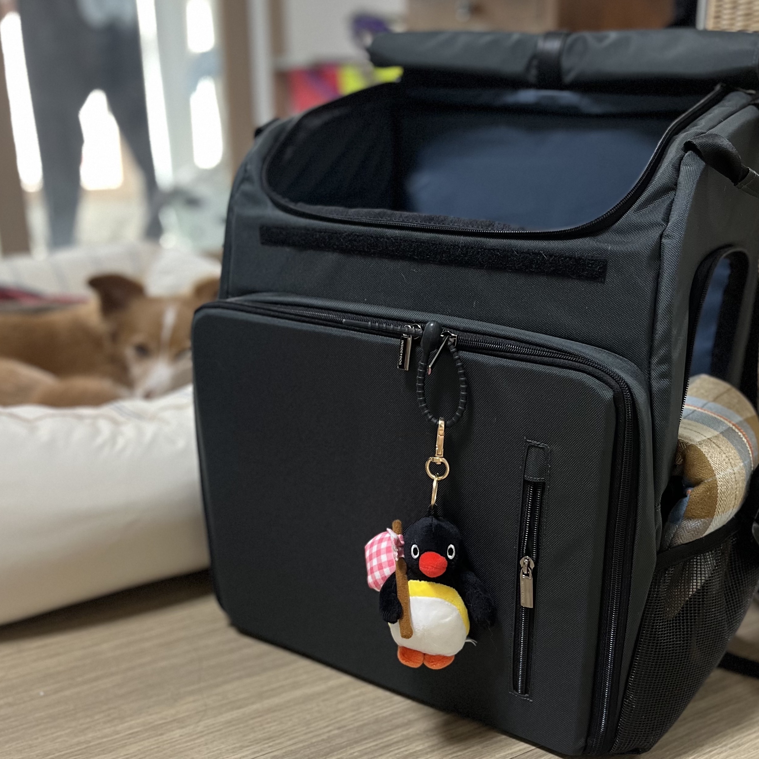 Pingu Bottari Keyring 착용 스타일