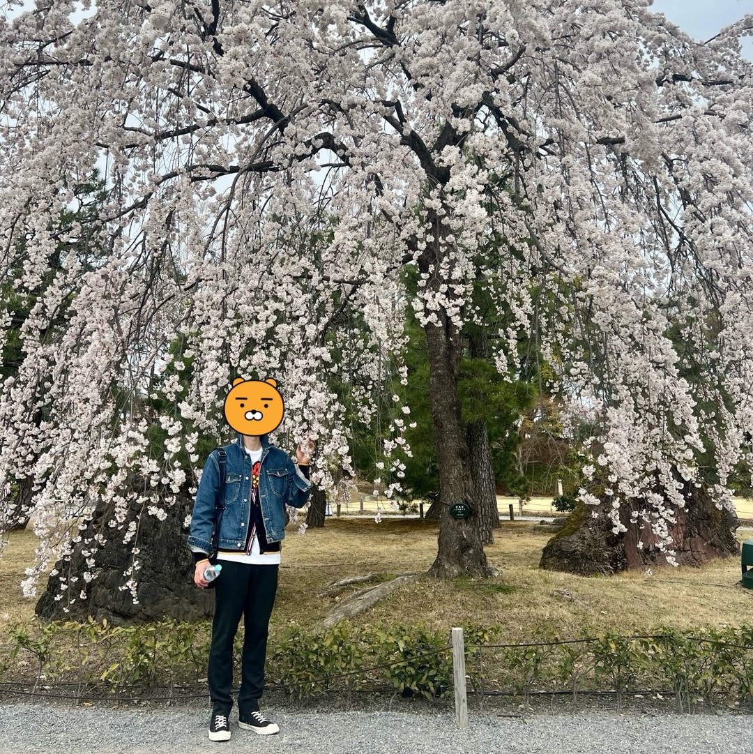 Thom Browne Cotton Merino Birds & Bees 4-Bar V-Neck Cardigan Navy, Kenzo Boke Flower Embroidery Denim Trucker Jacket Navy Blue 착용 스타일