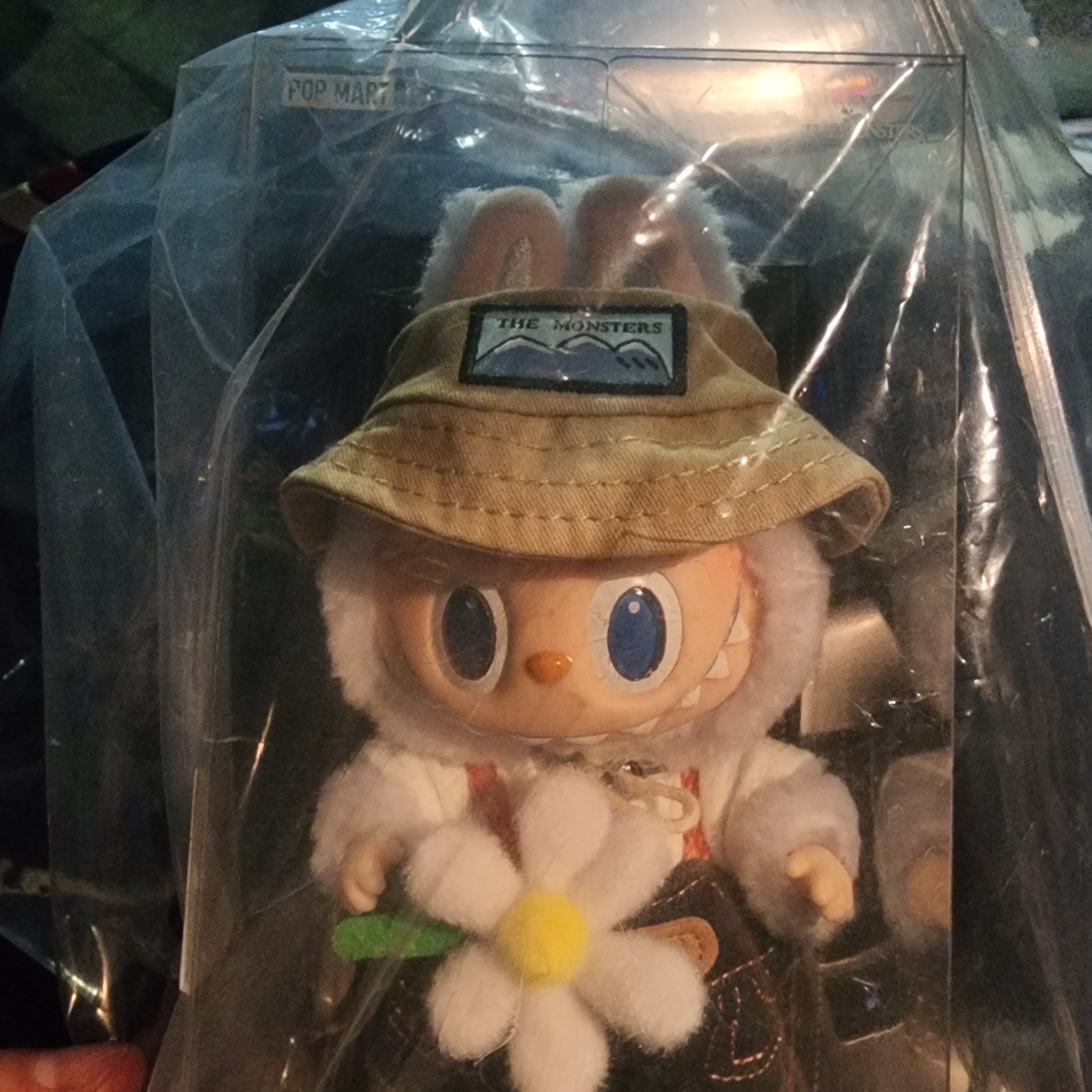 Pop Mart Fall In Wild Labubu Series Toy Keyring 착용 스타일