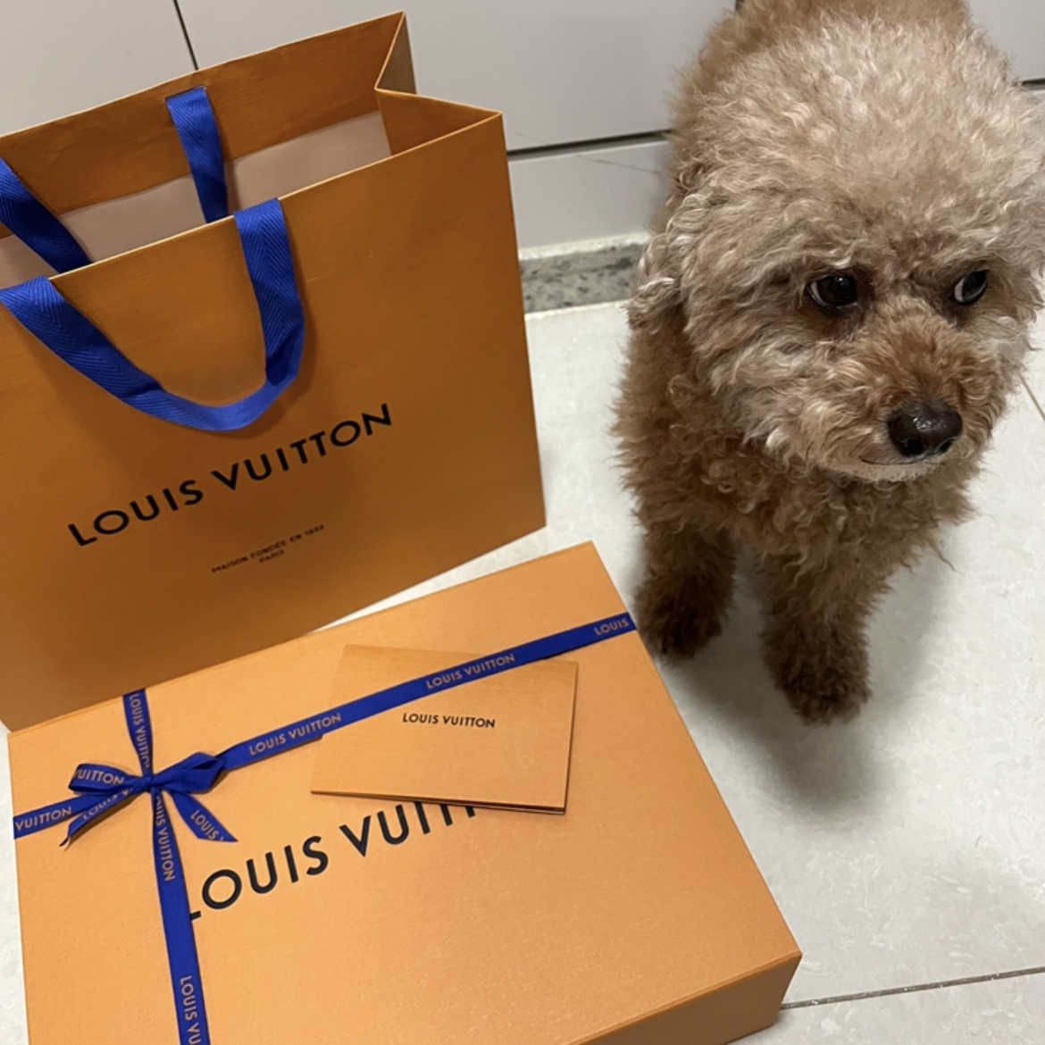 Louis Vuitton Looping Monogram 착용 스타일