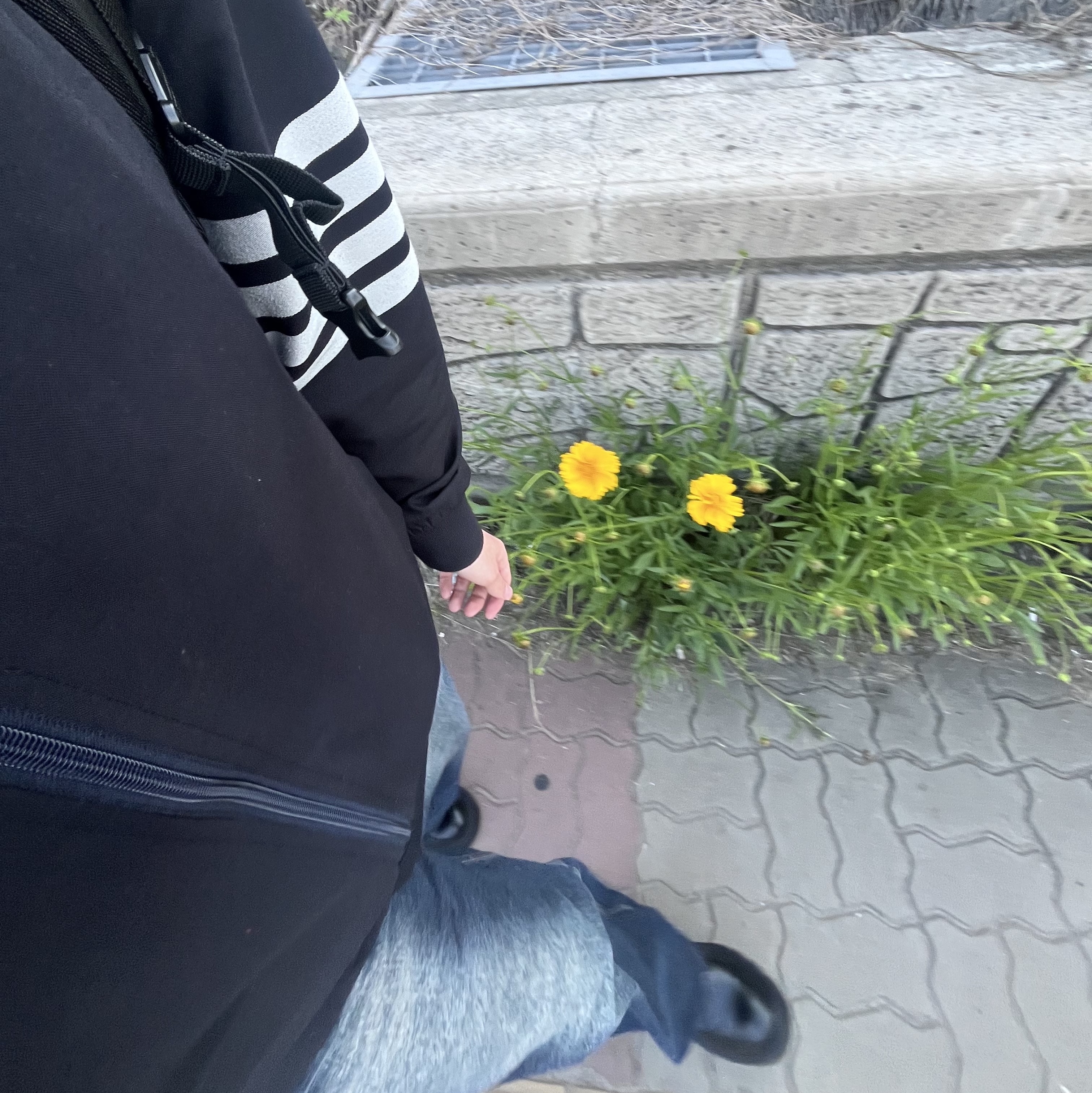 KREAM 스타일 - 2