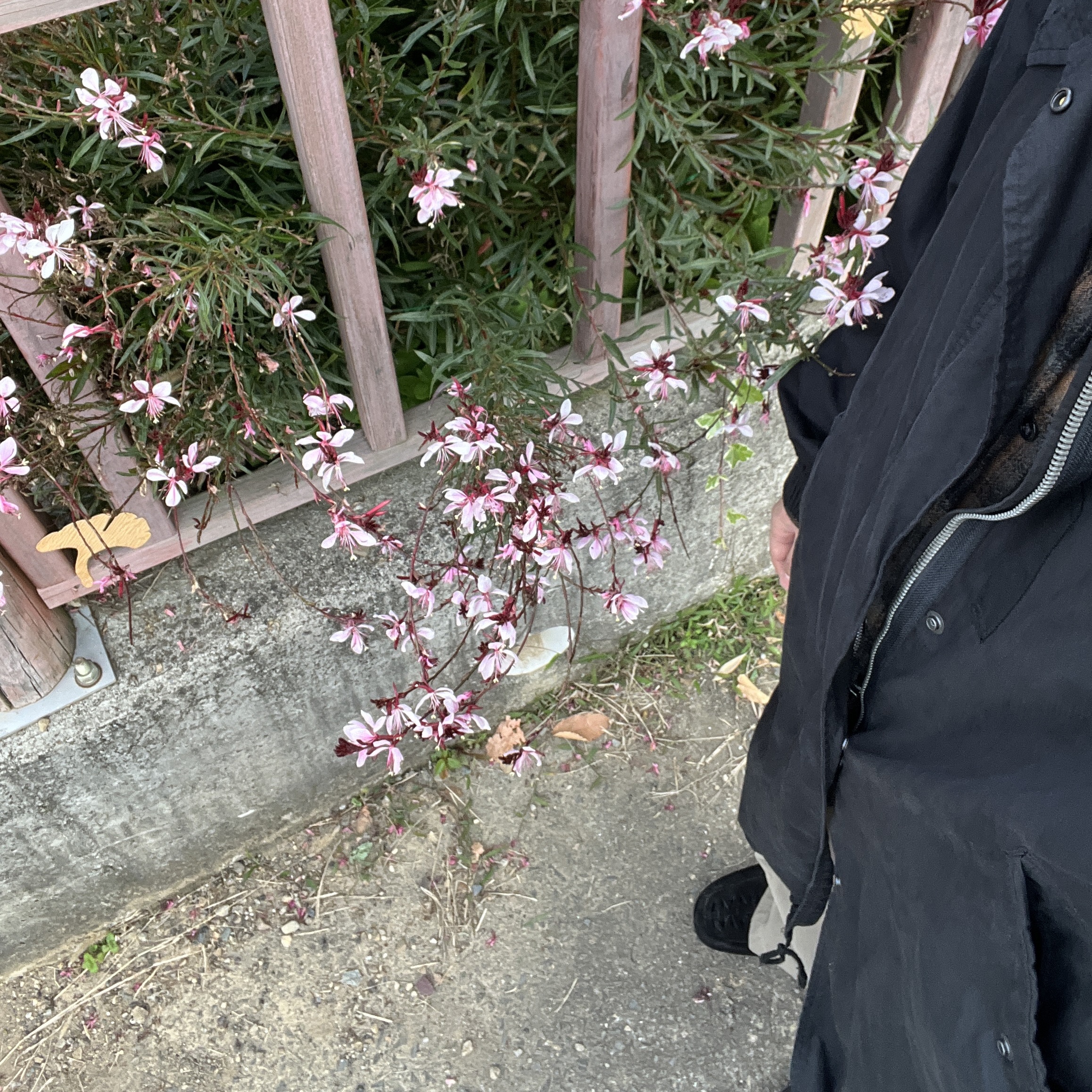 Polyteru Dell Parka Black 착용 스타일