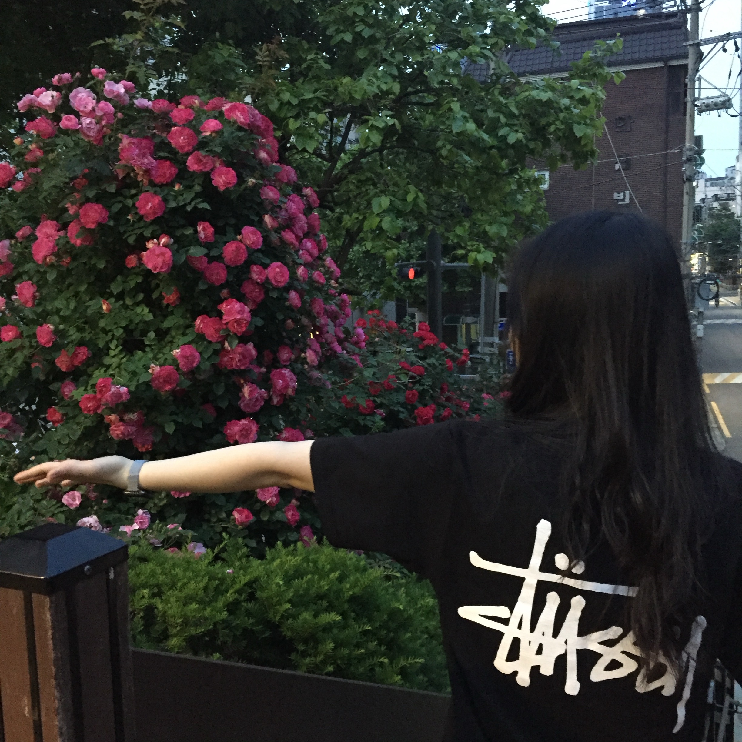 Stussy Basic Stussy T-Shirt Black 2024, 2025 착용 스타일