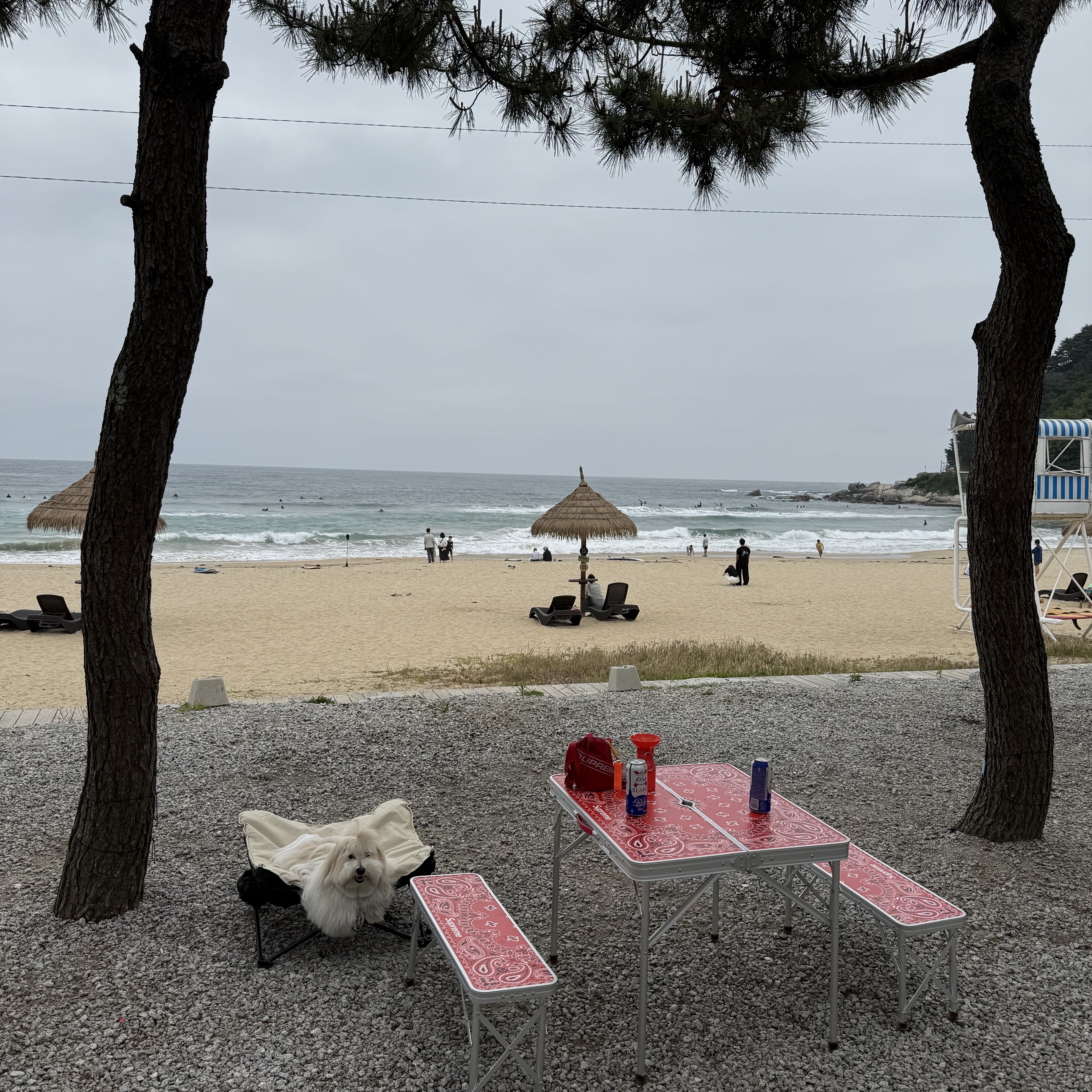 Supreme x Coleman Folding Table Set Red - 24SS, Supreme Shoulder Bag Red - 23FW 착용 스타일 - 1
