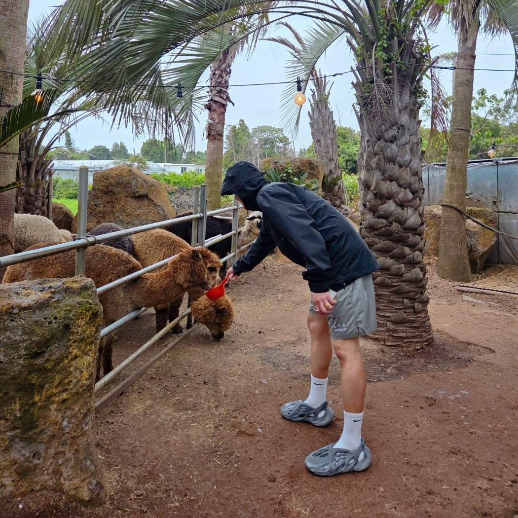 Arc'teryx Beta Jacket Black, IAB Studio Woven Shorts Gray 착용 스타일 - 2