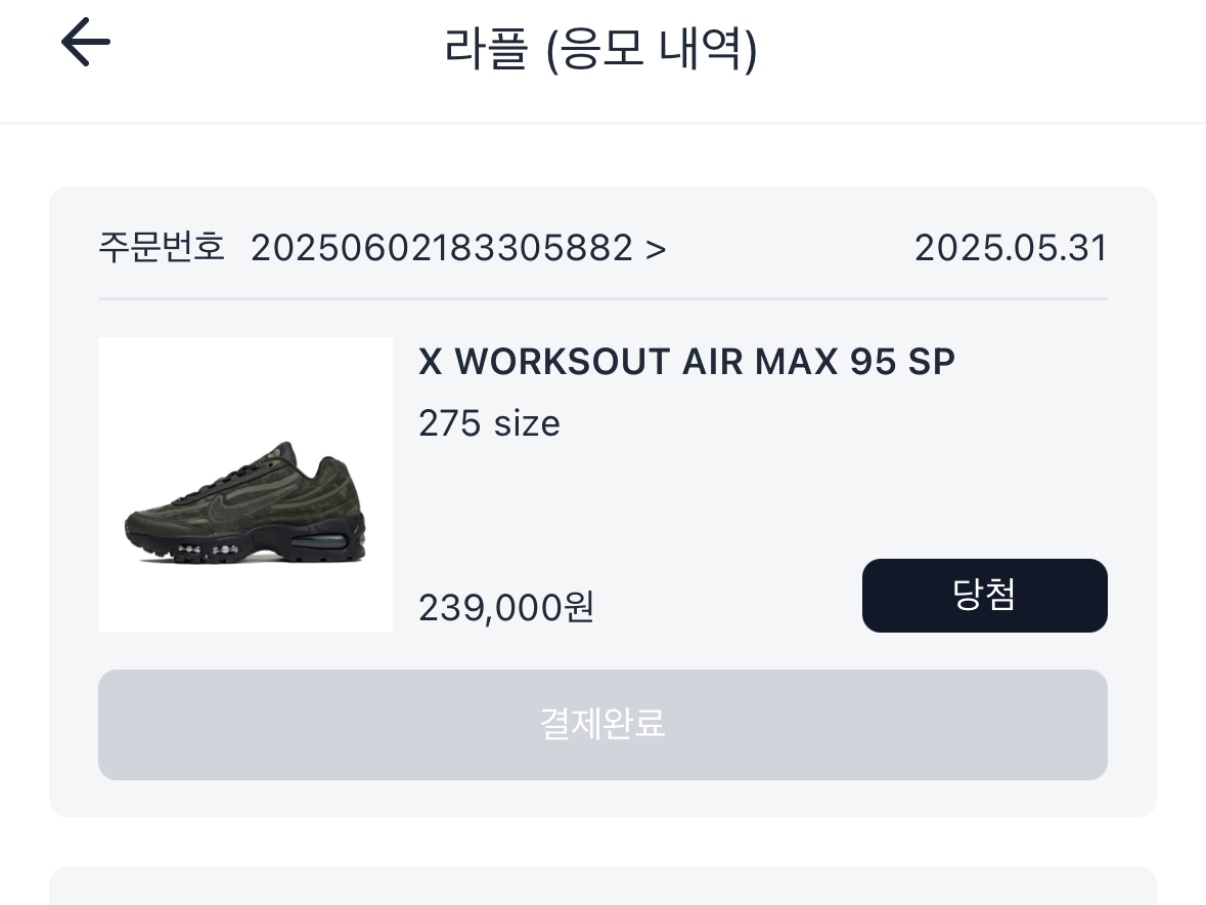 Nike x Worksout Air Max 95 Medium Olive and Sequoia 착용 스타일