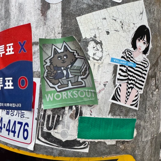 스타일 카드