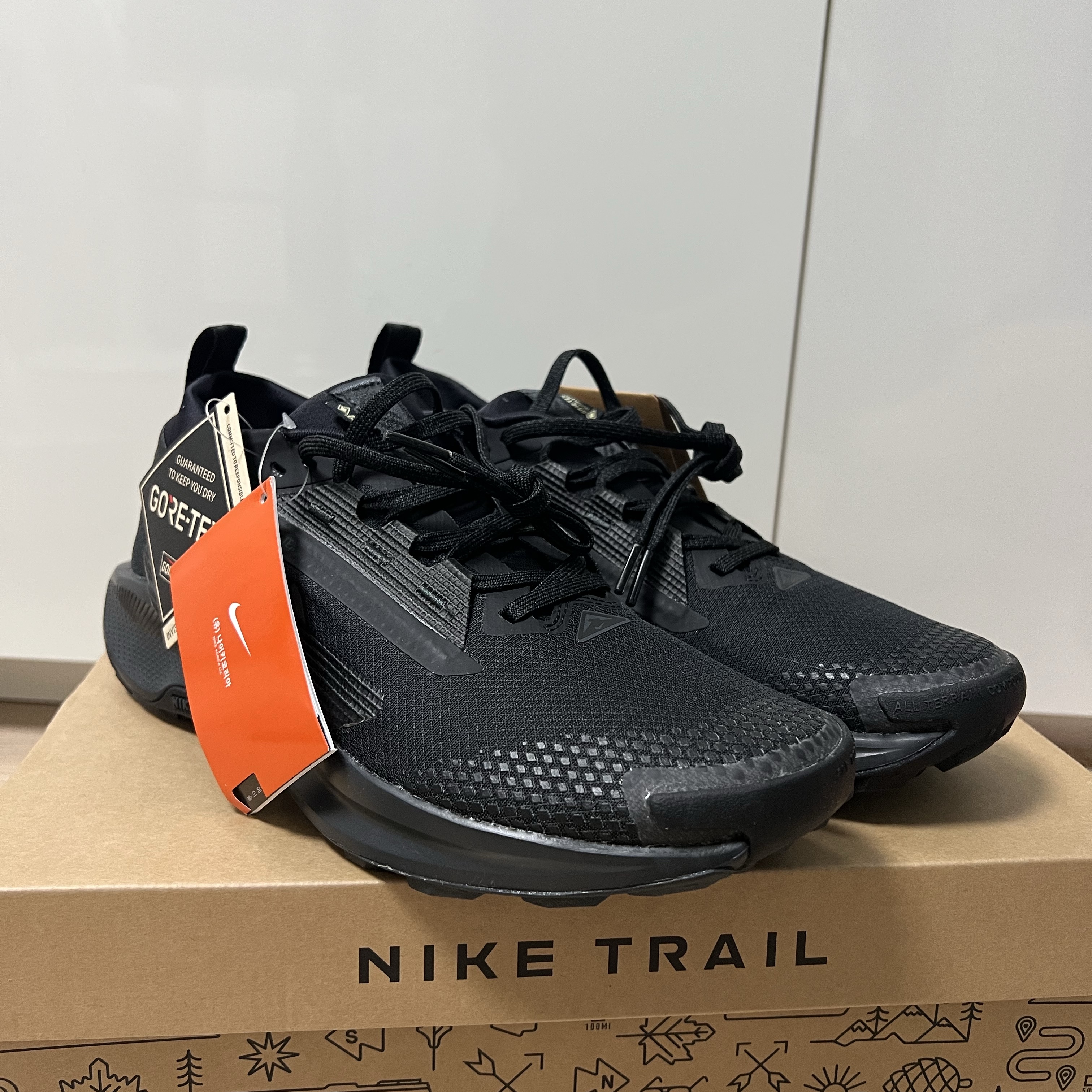 Nike Pegasus Trail 5 Gore-Tex Black 착용 스타일 - 2