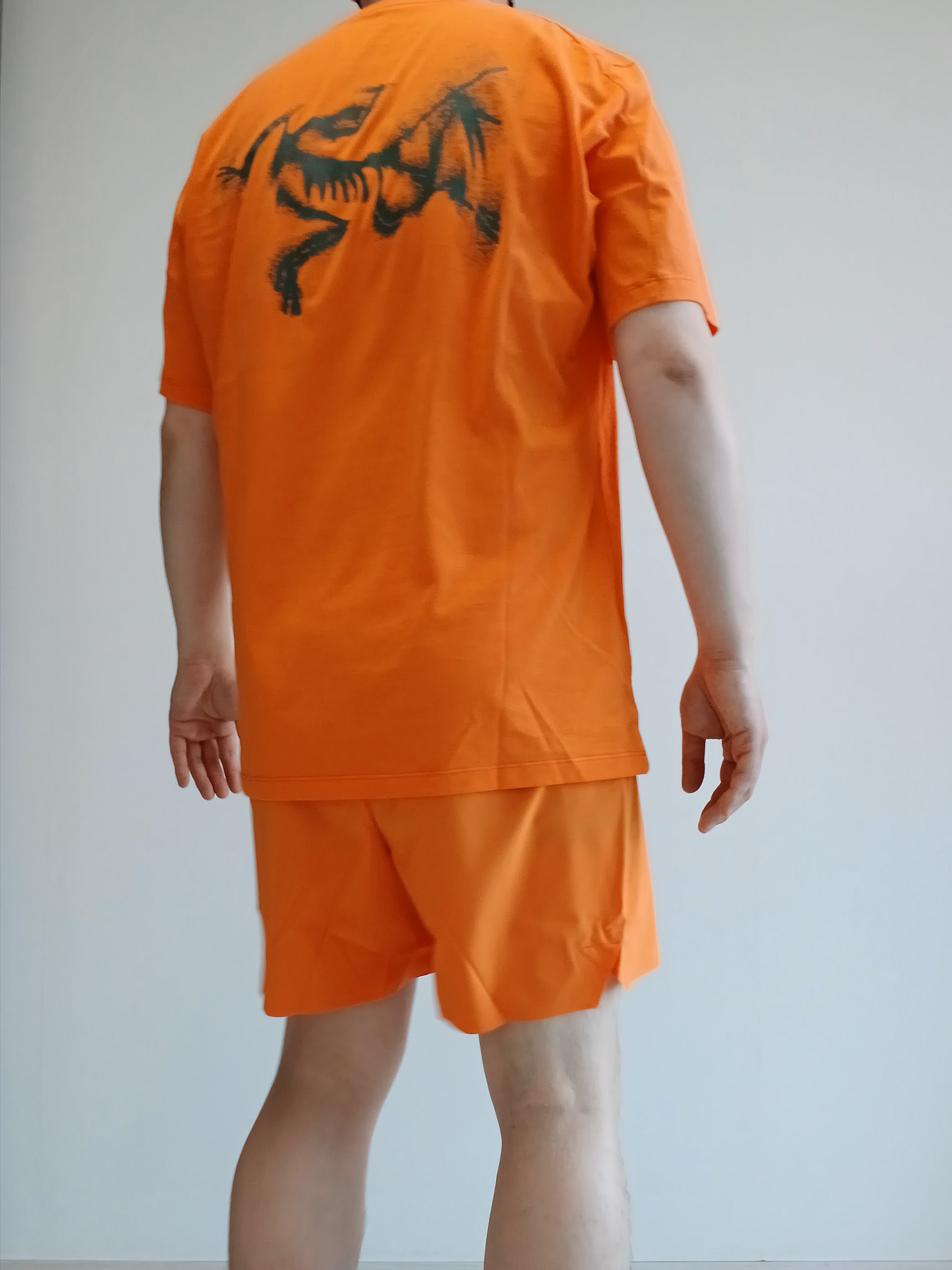 Arc'teryx Bird Word Trucker Hat Black Cloud, Arc'teryx Kragg SL Cotton Blurred Bird SS T-Shirt Verve Forage 착용 스타일 - 7