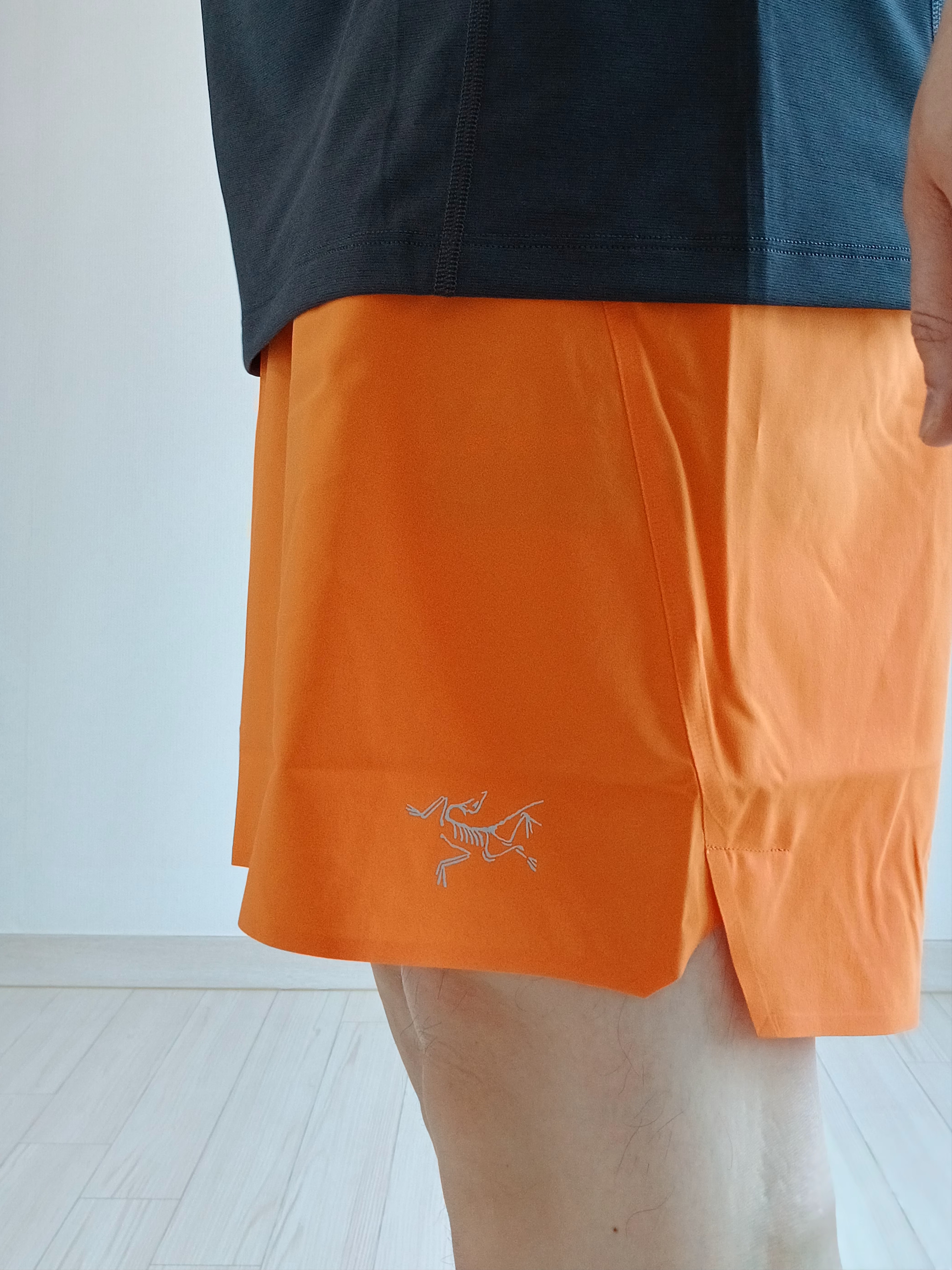 Arc'teryx Norvan Shorts 5 Inch Verve, Arc'teryx Norvan LD 4 GTX Black 착용 스타일 - 1