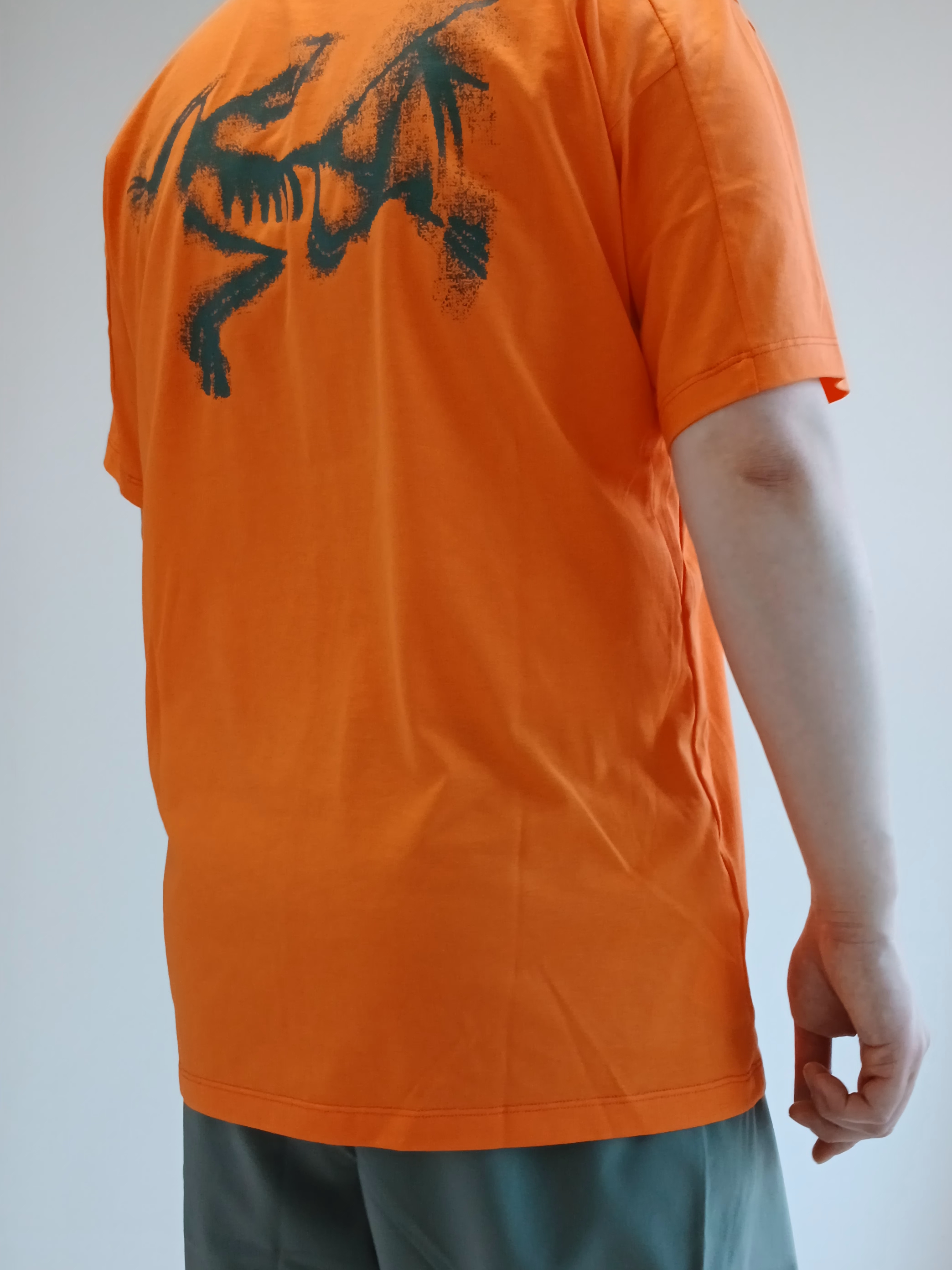 Arc'teryx Bird Word Trucker Hat Black Cloud, Arc'teryx Kragg SL Cotton Blurred Bird SS T-Shirt Verve Forage 착용 스타일 - 10