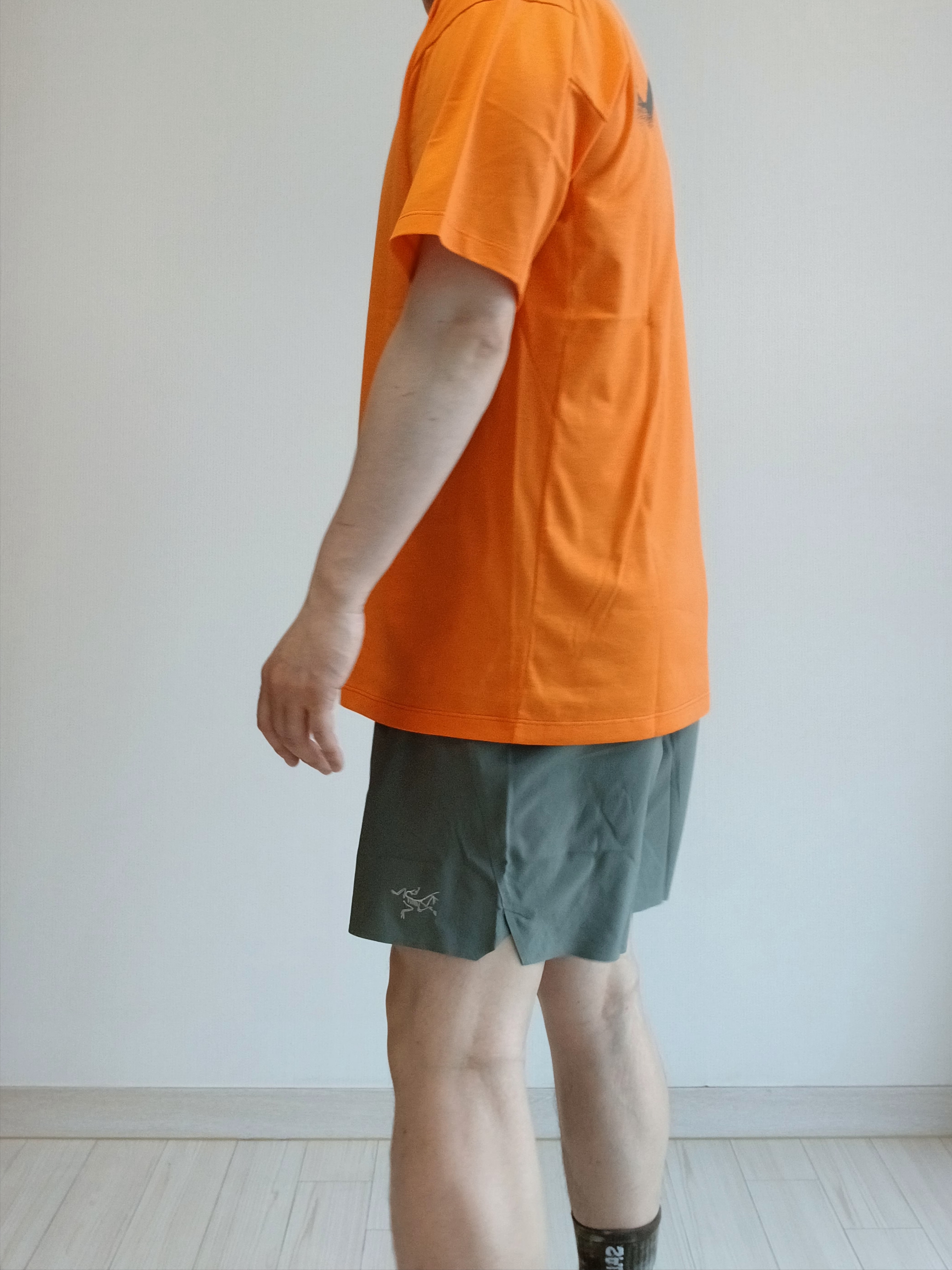 Arc'teryx Kragg SL Cotton Blurred Bird SS T-Shirt Black Dynasty, Arc'teryx Kragg SL Cotton Blurred Bird SS T-Shirt White Light Atmos 착용 스타일 - 9