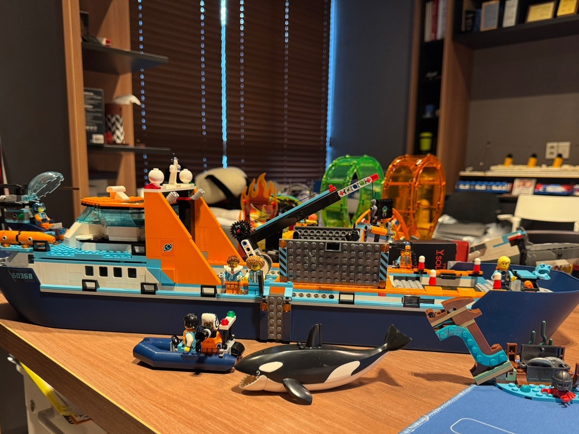 Lego Arctic Explorer Ship 착용 스타일