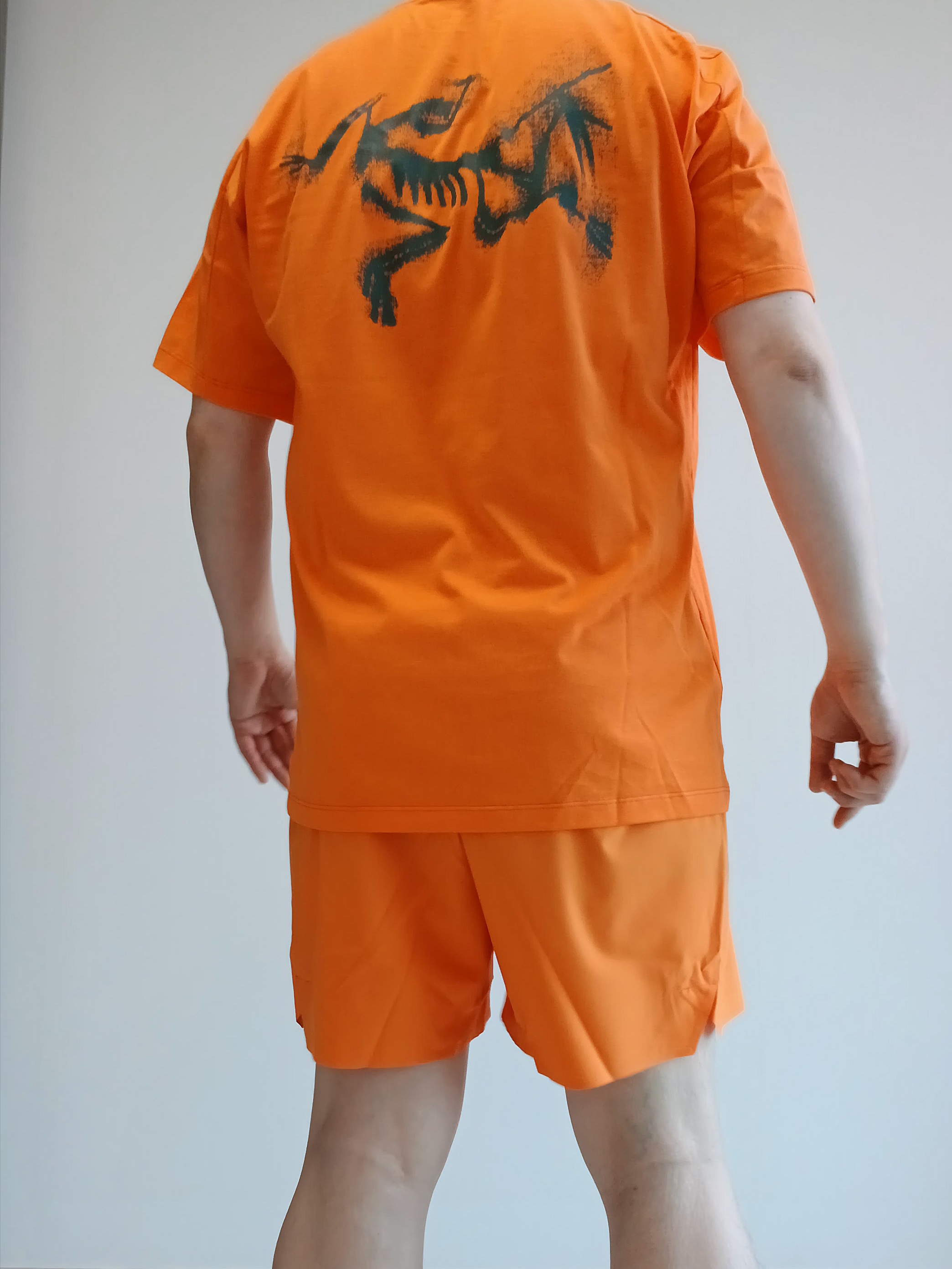 Arc'teryx Bird Word Trucker Hat Black Cloud, Arc'teryx Kragg SL Cotton Blurred Bird SS T-Shirt Verve Forage 착용 스타일 - 4