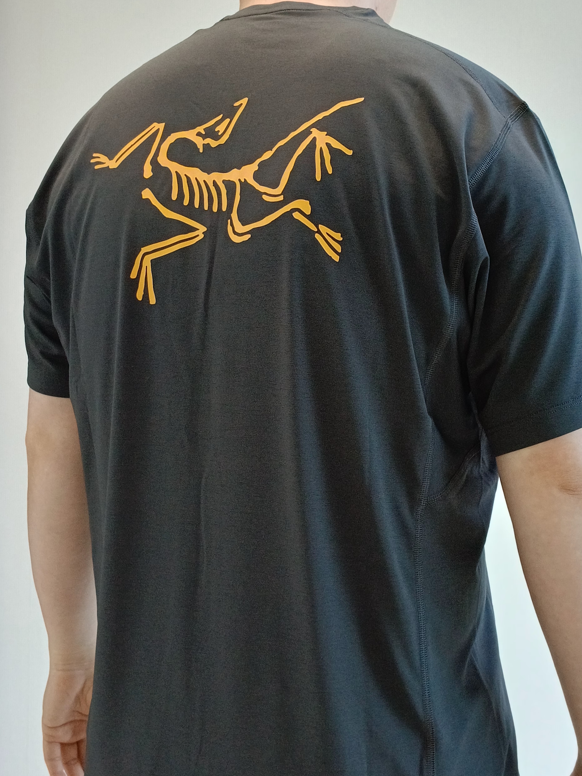 Arc'teryx Norvan LD 4 GTX Black, Arc'teryx Motus Arcword Crew SS T-Shirt Black Heather 착용 스타일 - 3