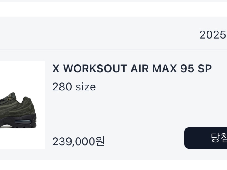 Nike x Worksout Air Max 95 Medium Olive and Sequoia 착용 스타일