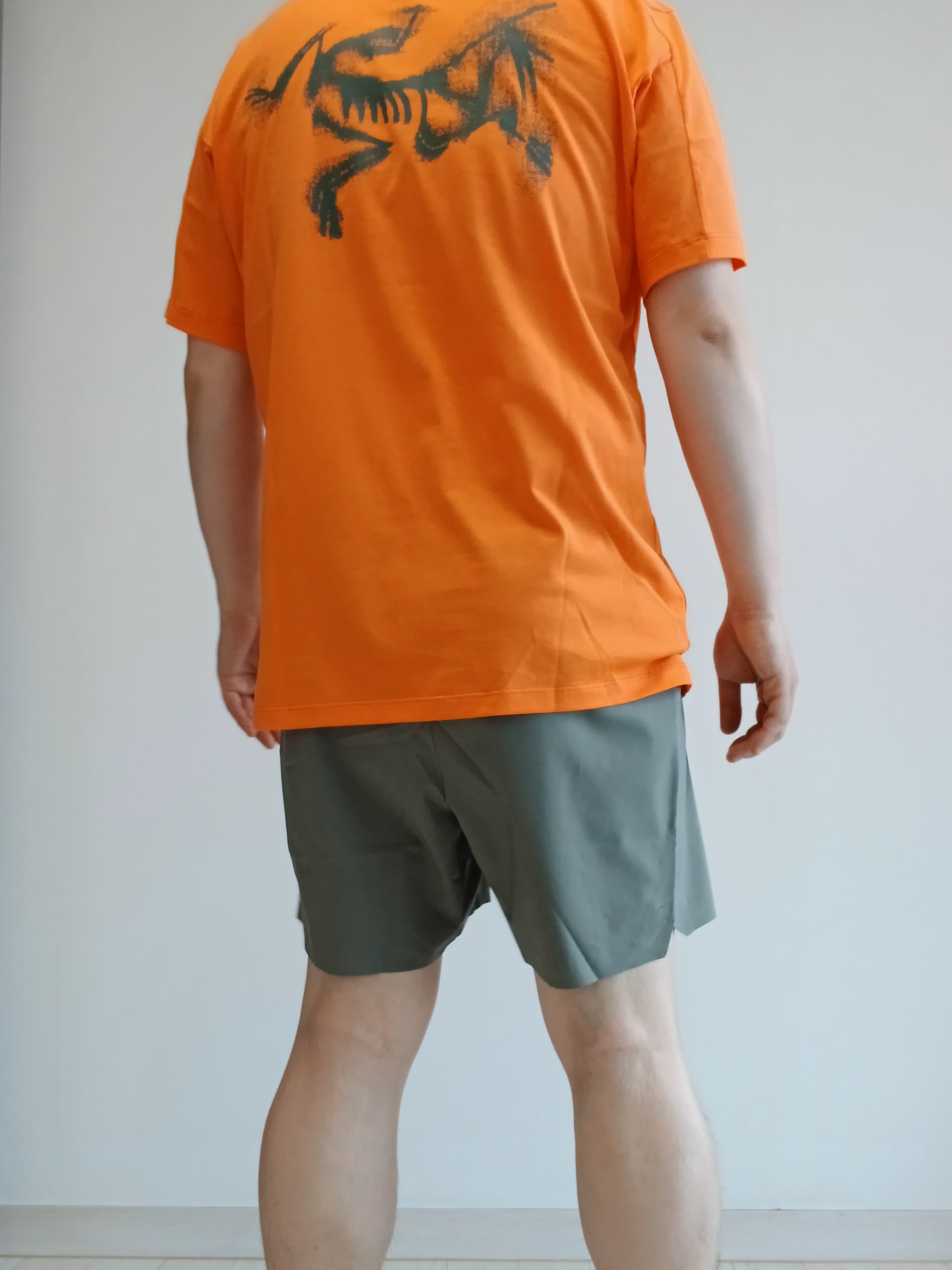 Arc'teryx Kragg SL Cotton Blurred Bird SS T-Shirt Black Dynasty, Arc'teryx Kragg SL Cotton Blurred Bird SS T-Shirt White Light Atmos 착용 스타일 - 7