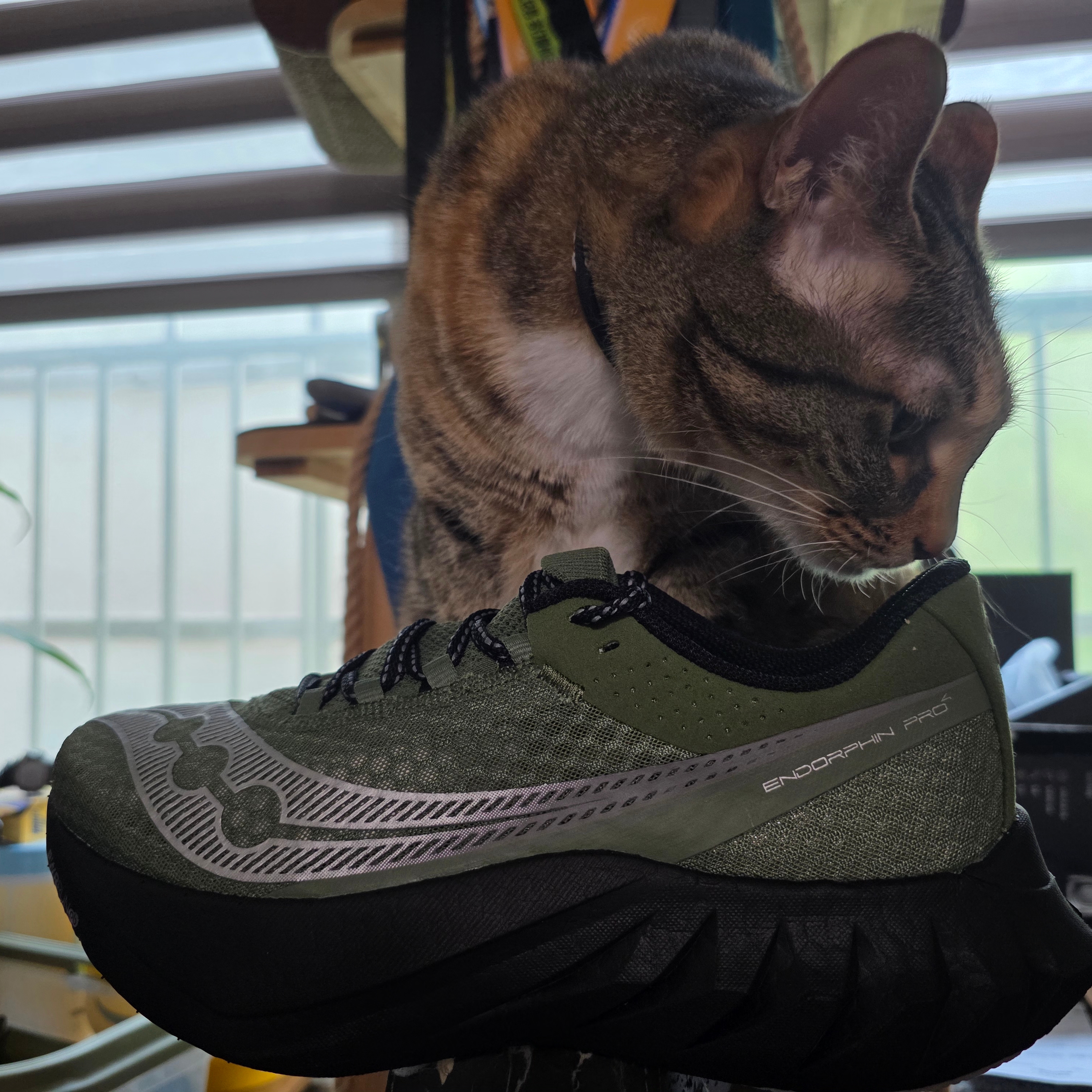 Saucony Endorphin Pro 4 Olivine Black 착용 스타일