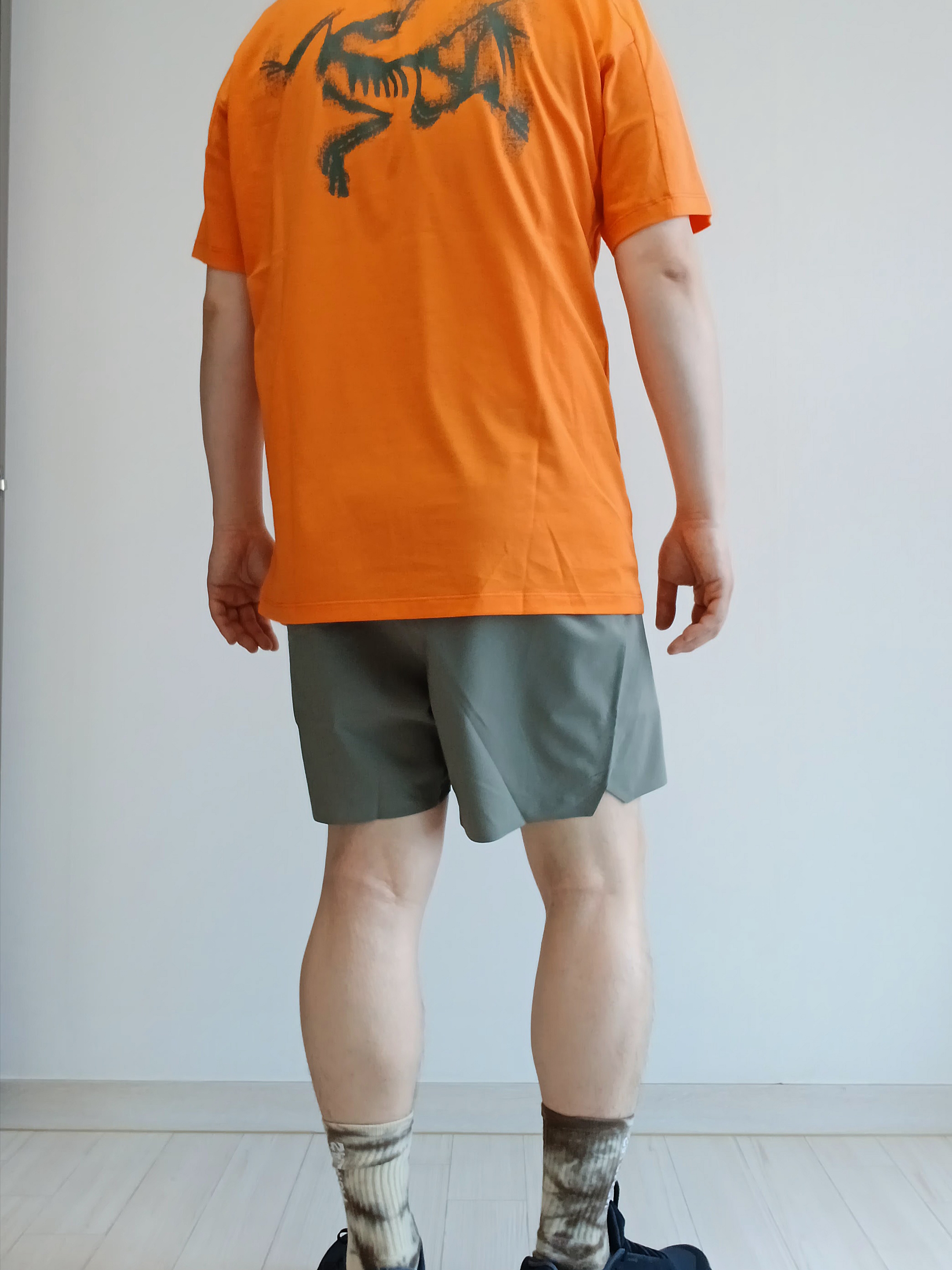 Arc'teryx Kragg SL Cotton Blurred Bird SS T-Shirt Black Dynasty, Arc'teryx Kragg SL Cotton Blurred Bird SS T-Shirt White Light Atmos 착용 스타일 - 2