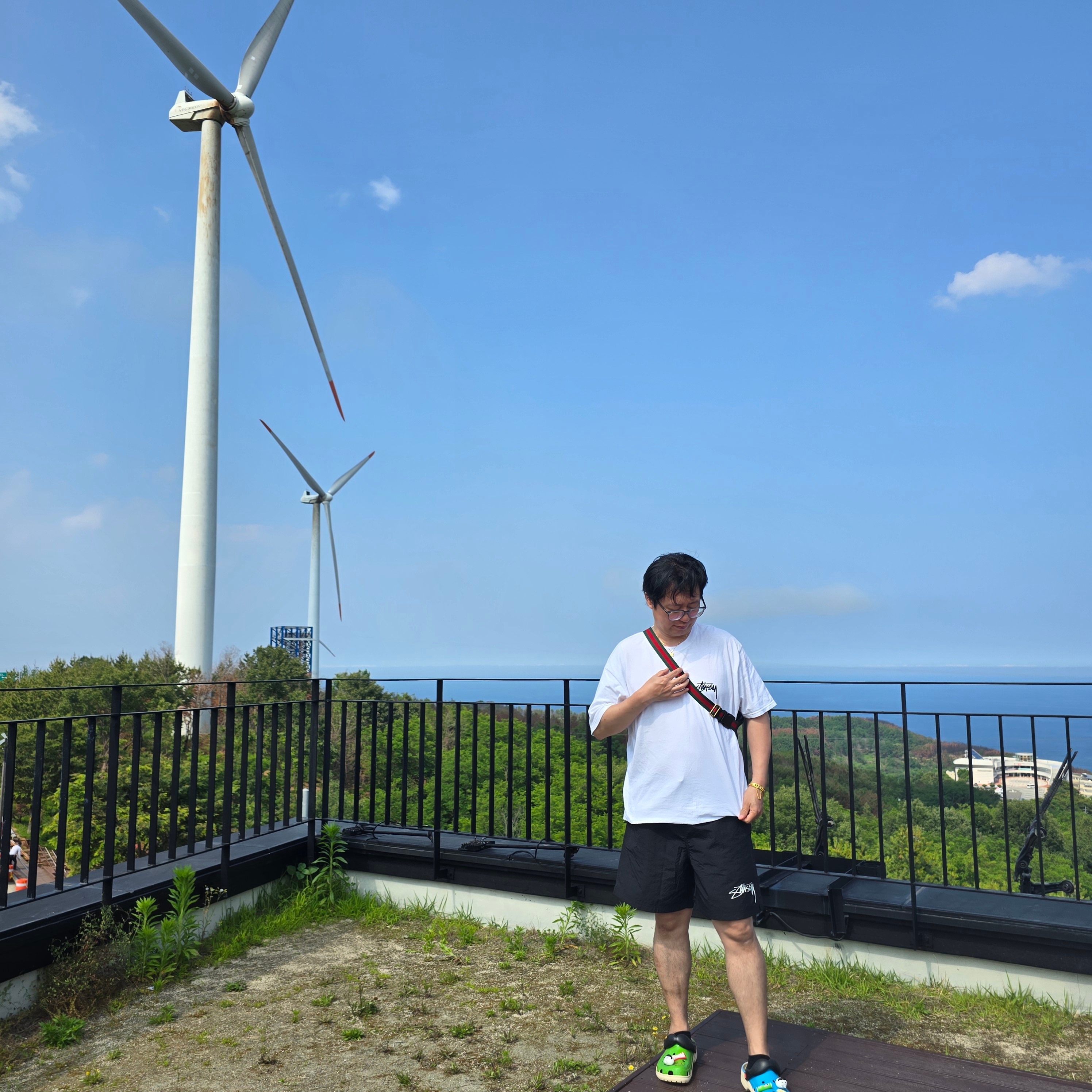 Stussy Big Link T-Shirt White, Nike x Stussy Shorts Black (FJ9167-010) 착용 스타일 - 2